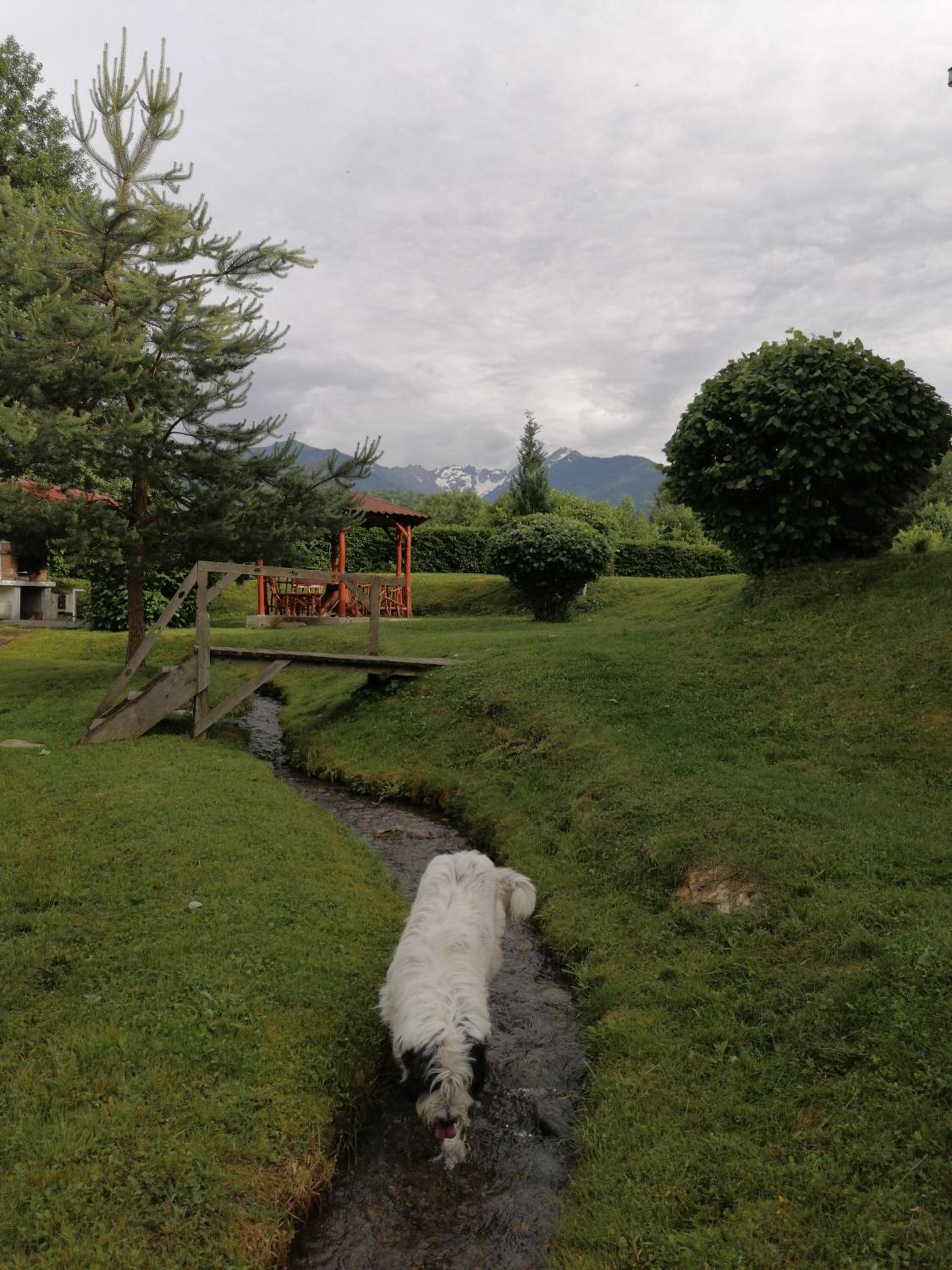 Photo 6