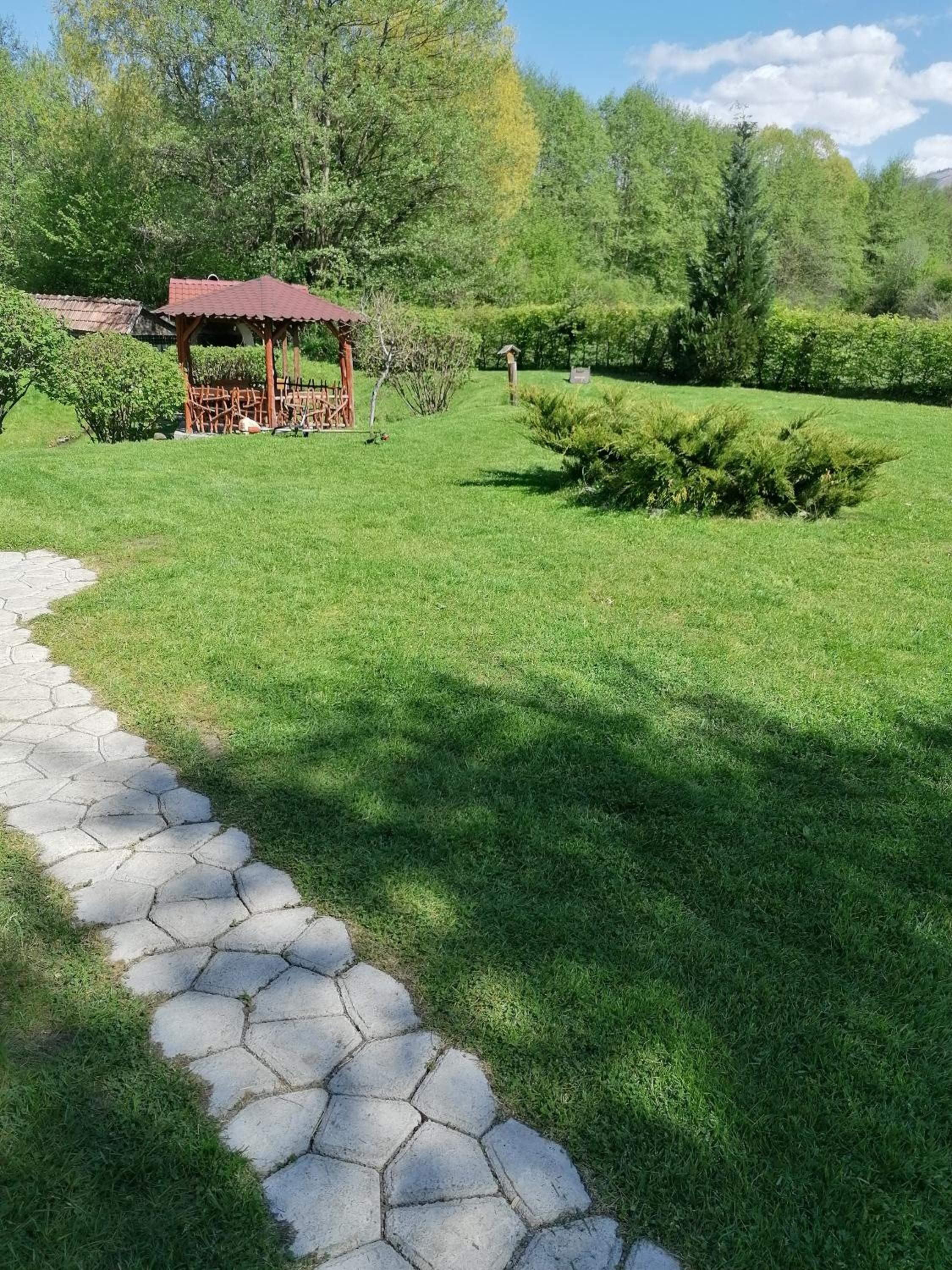 Photo 9