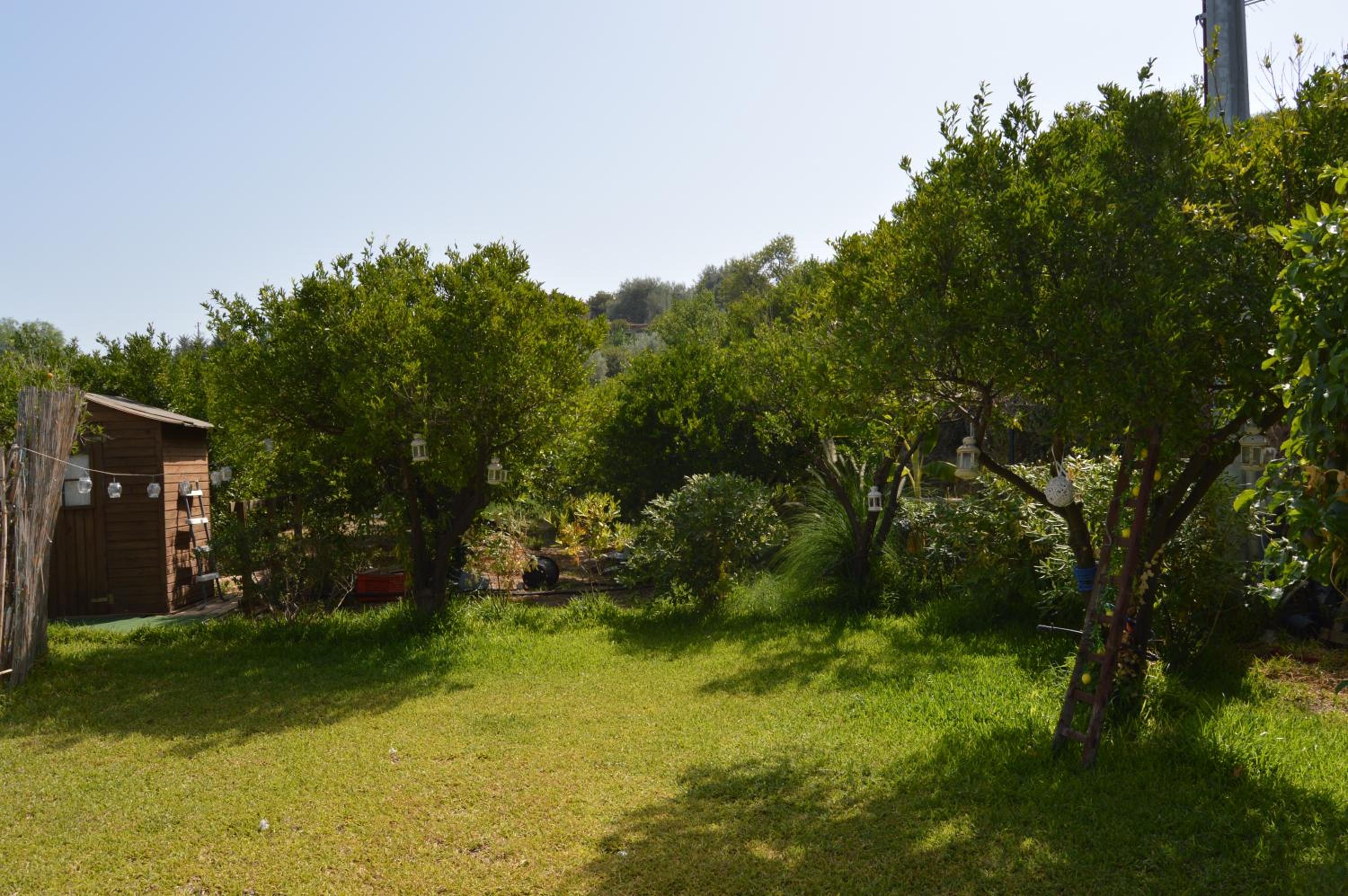 Photo 32