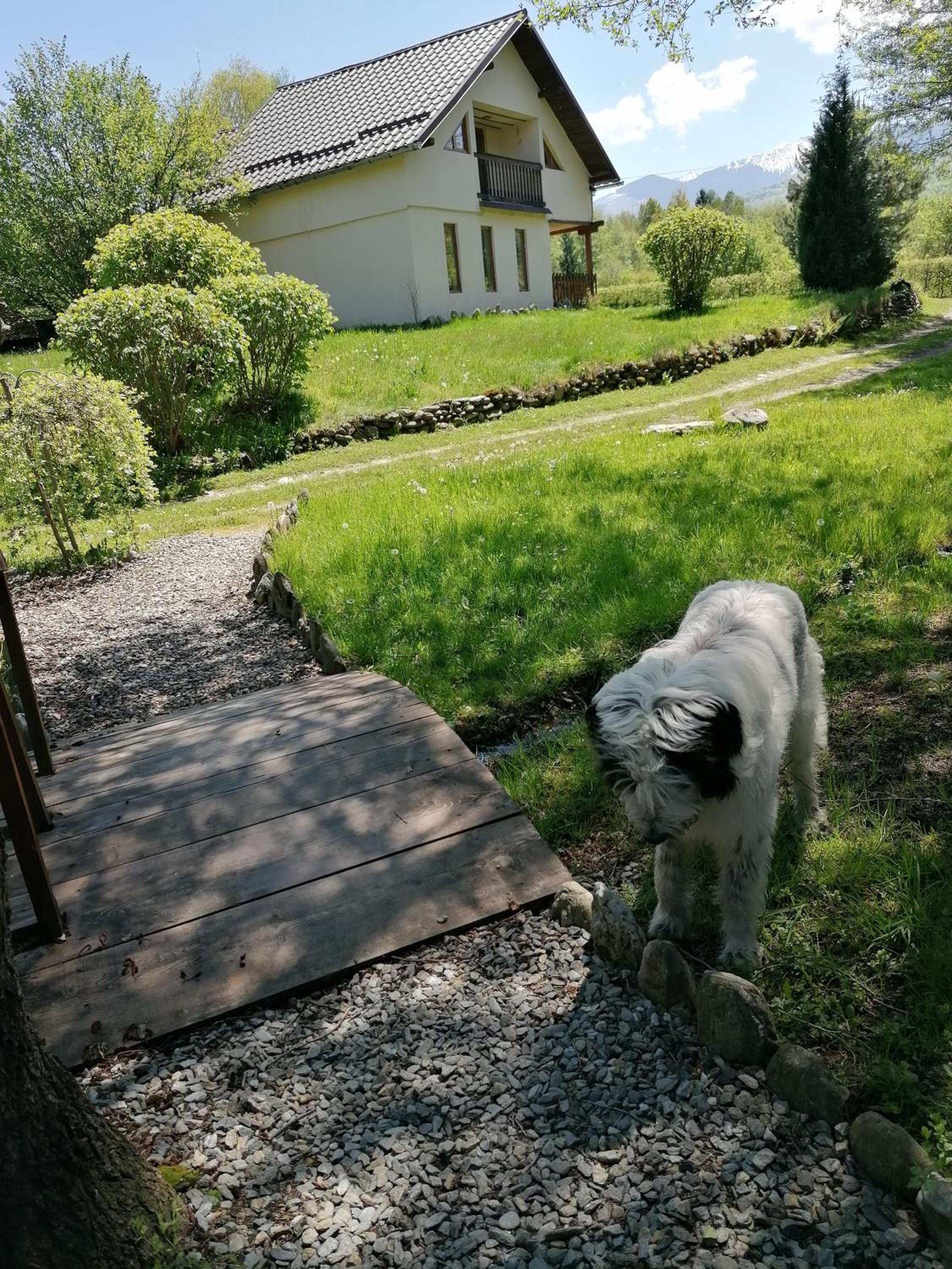 Photo 10