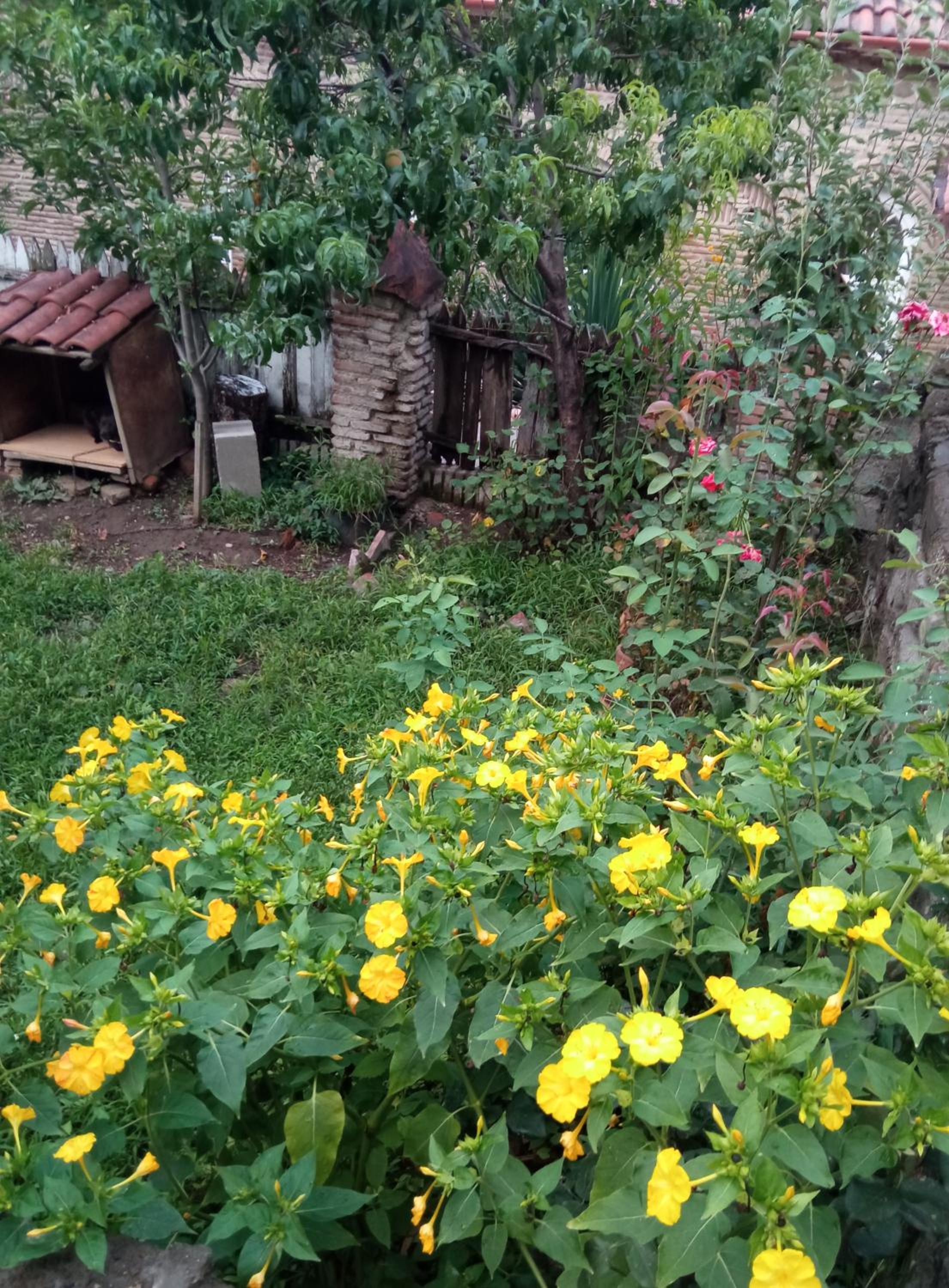 Photo 34