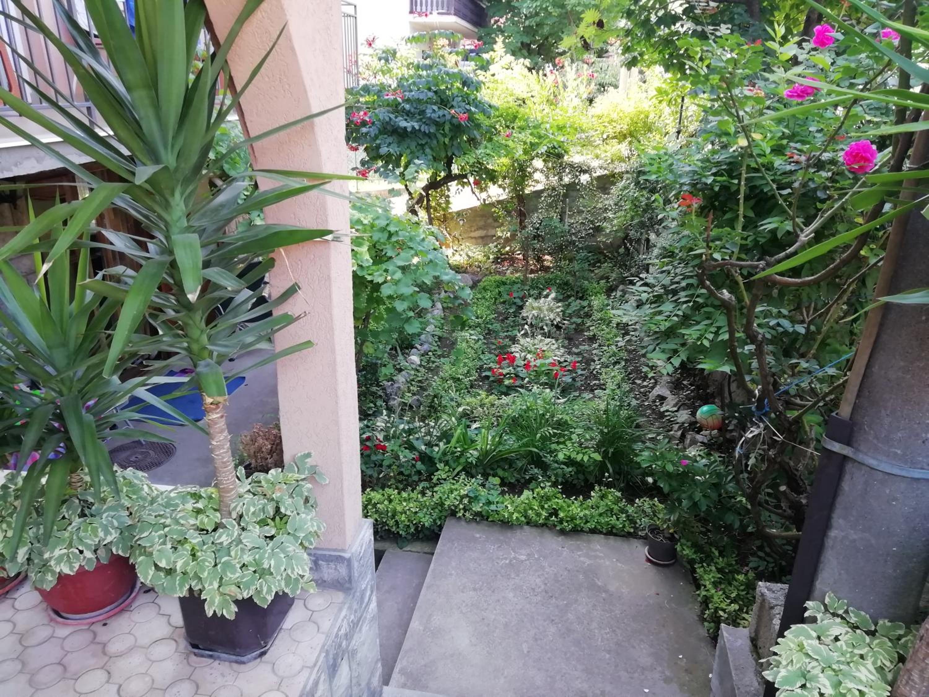 Sokobanja apartman Aviva view 5