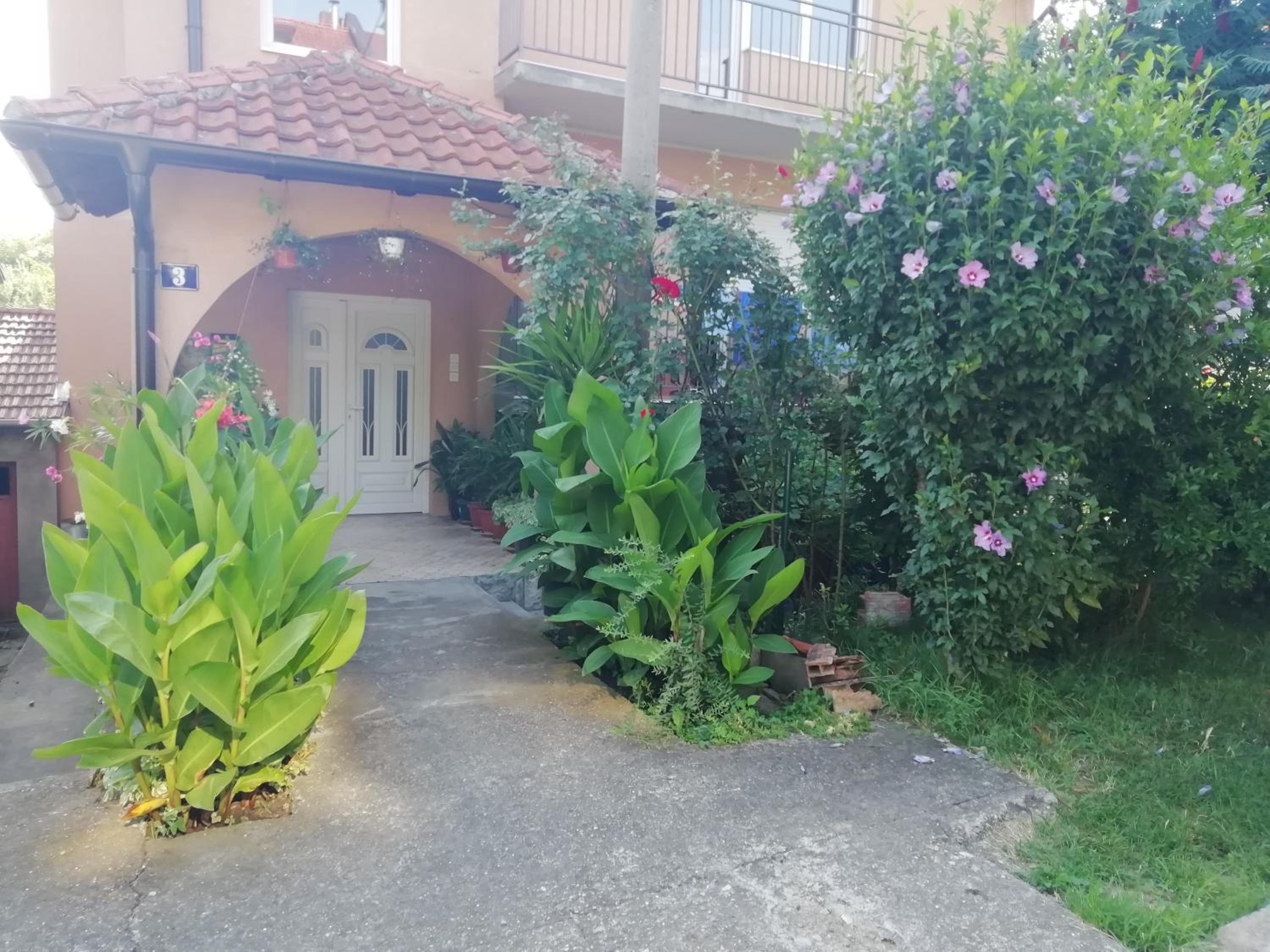 Sokobanja apartman Aviva view 2