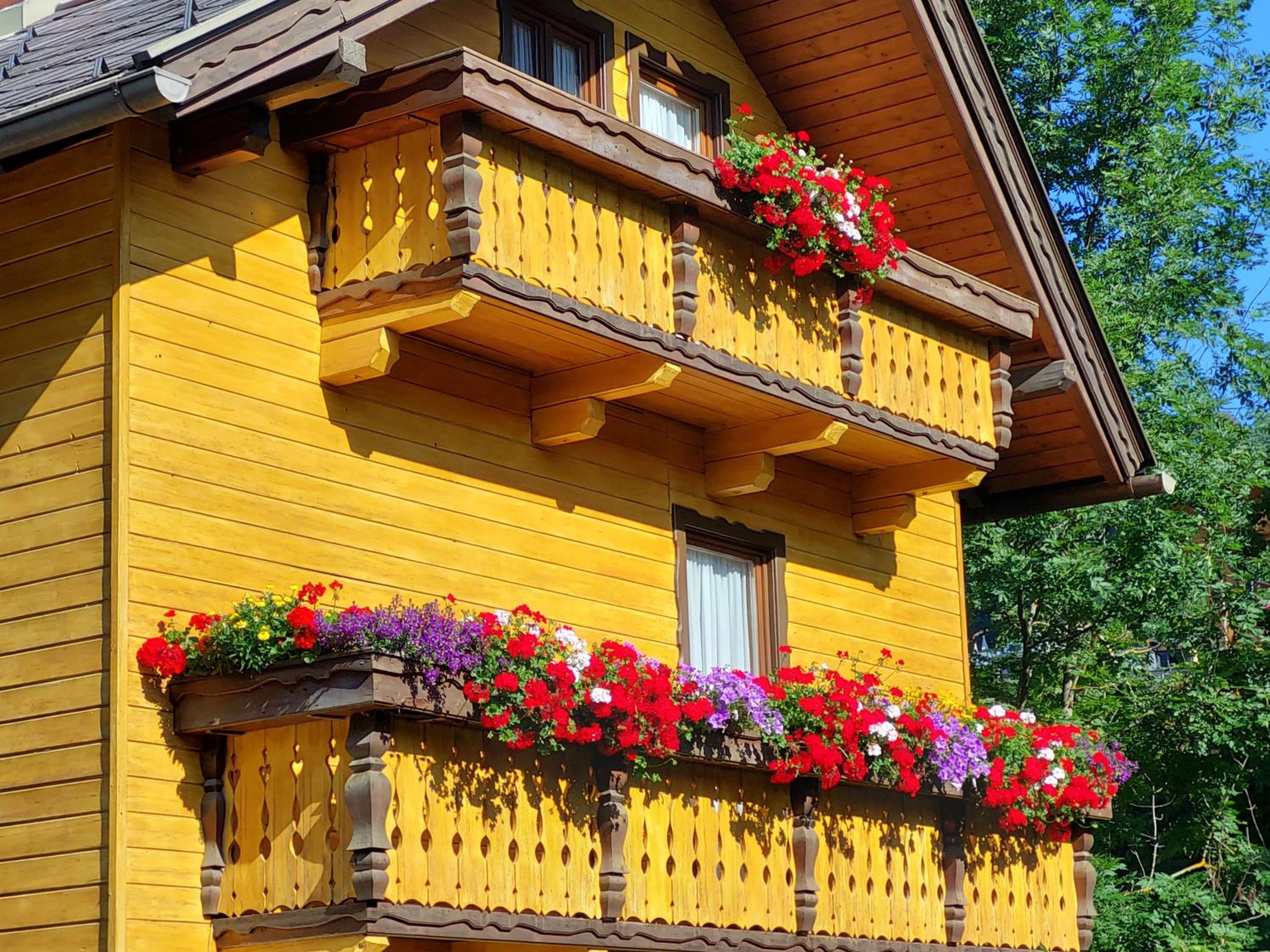 CHALET SCHWALBENNEST