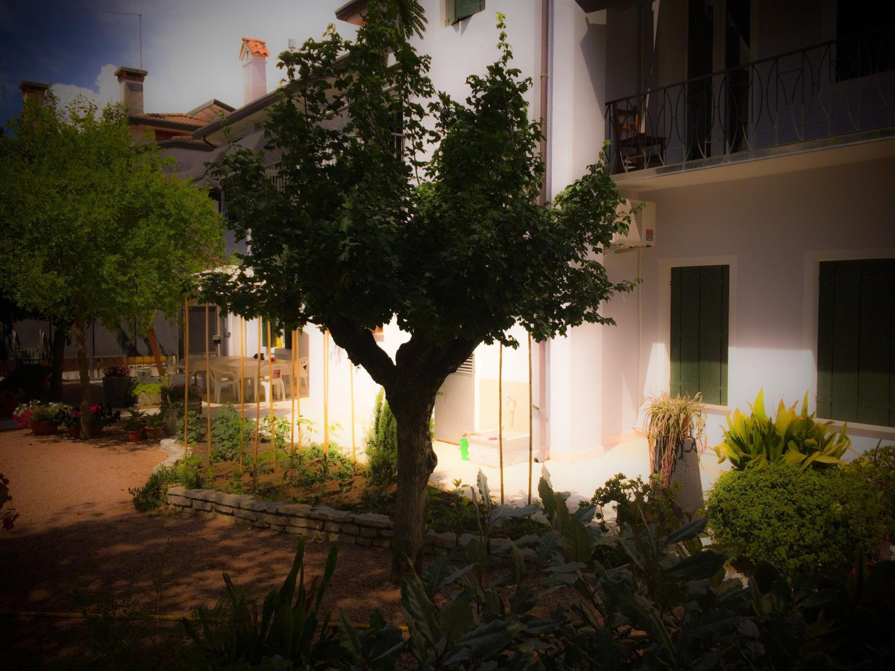 Photo 22