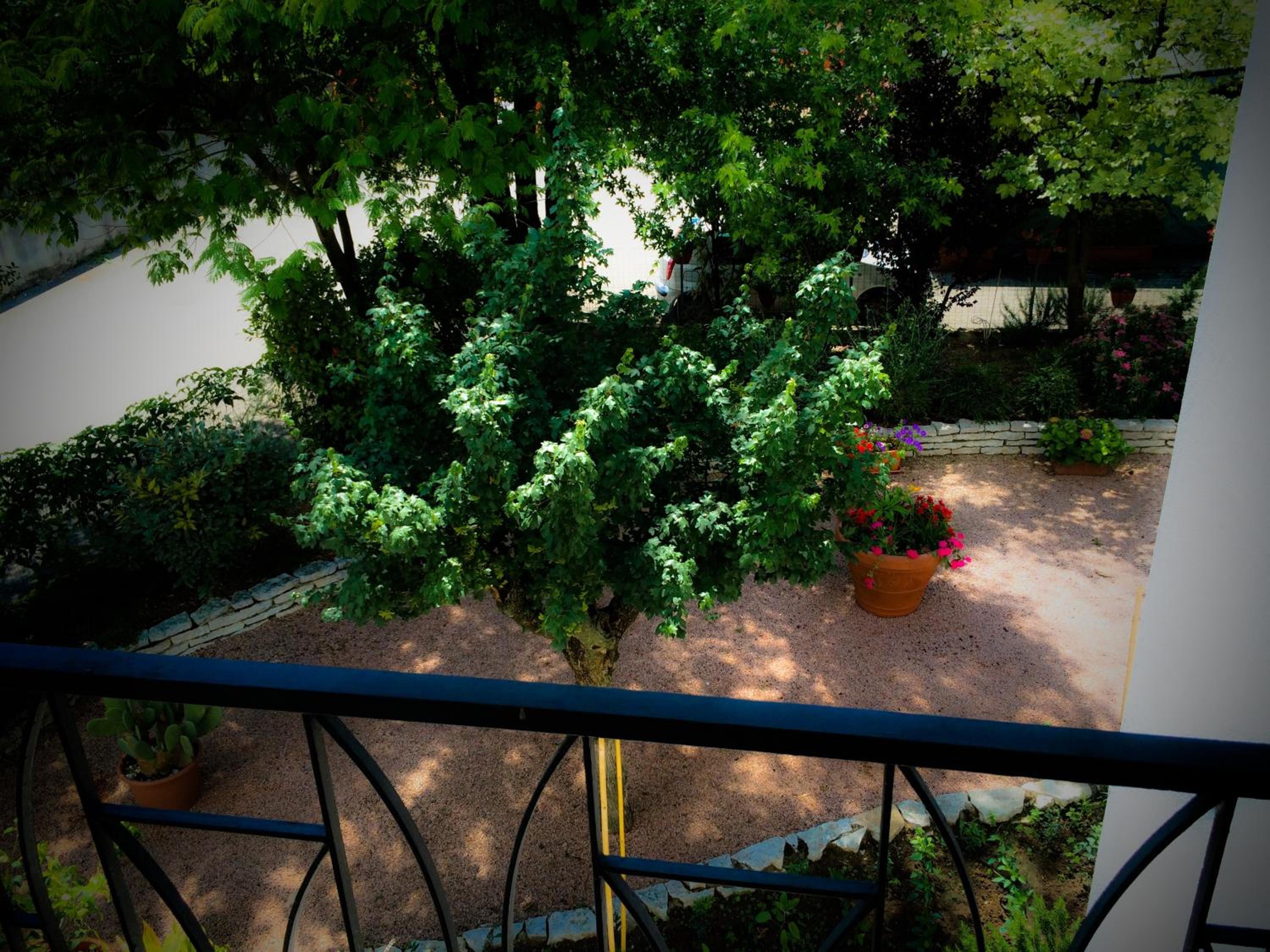 Photo 23