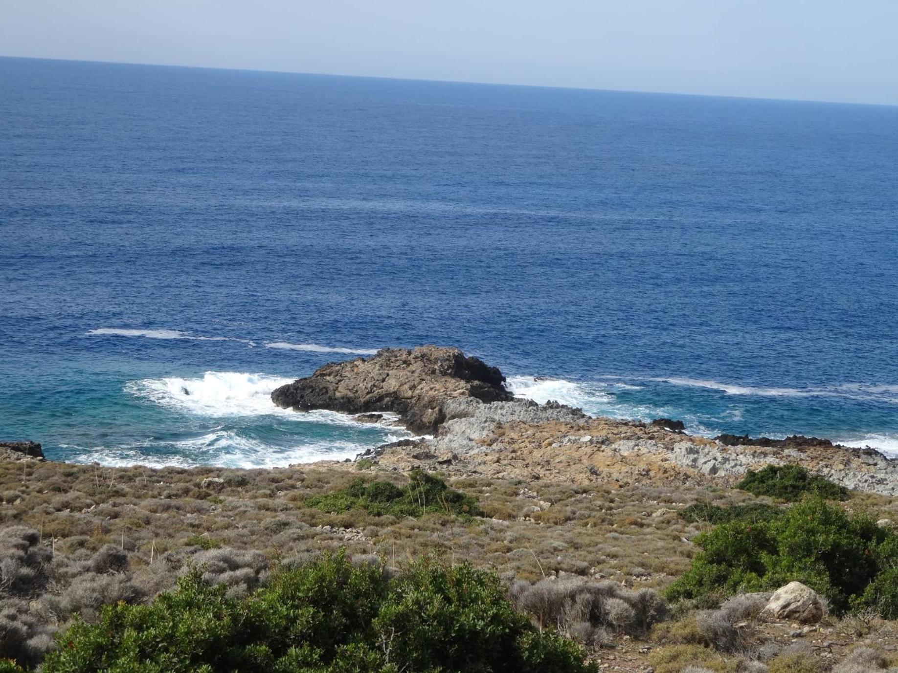 Photo 45