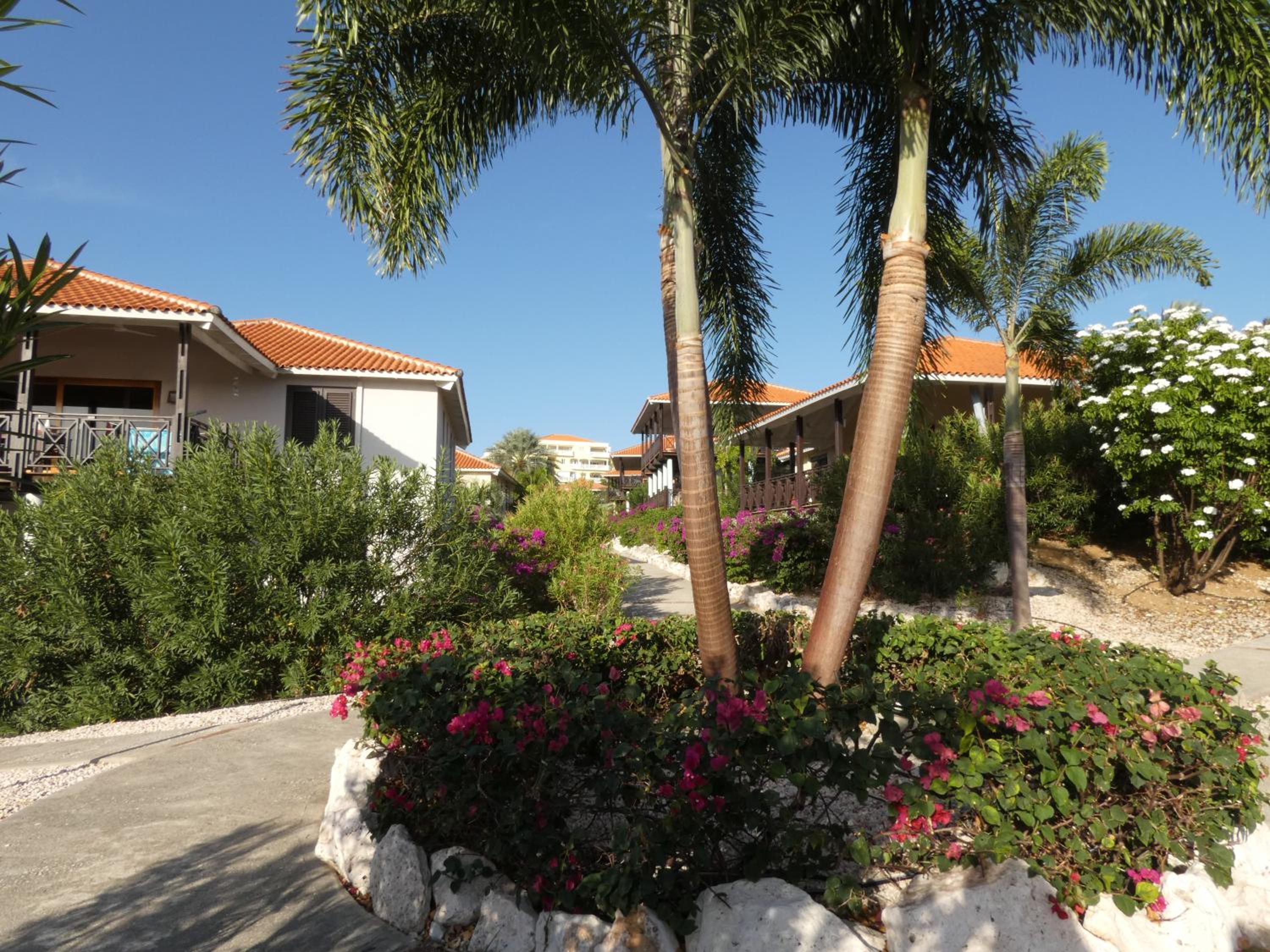 Blue Bay Villa Bon Bini.