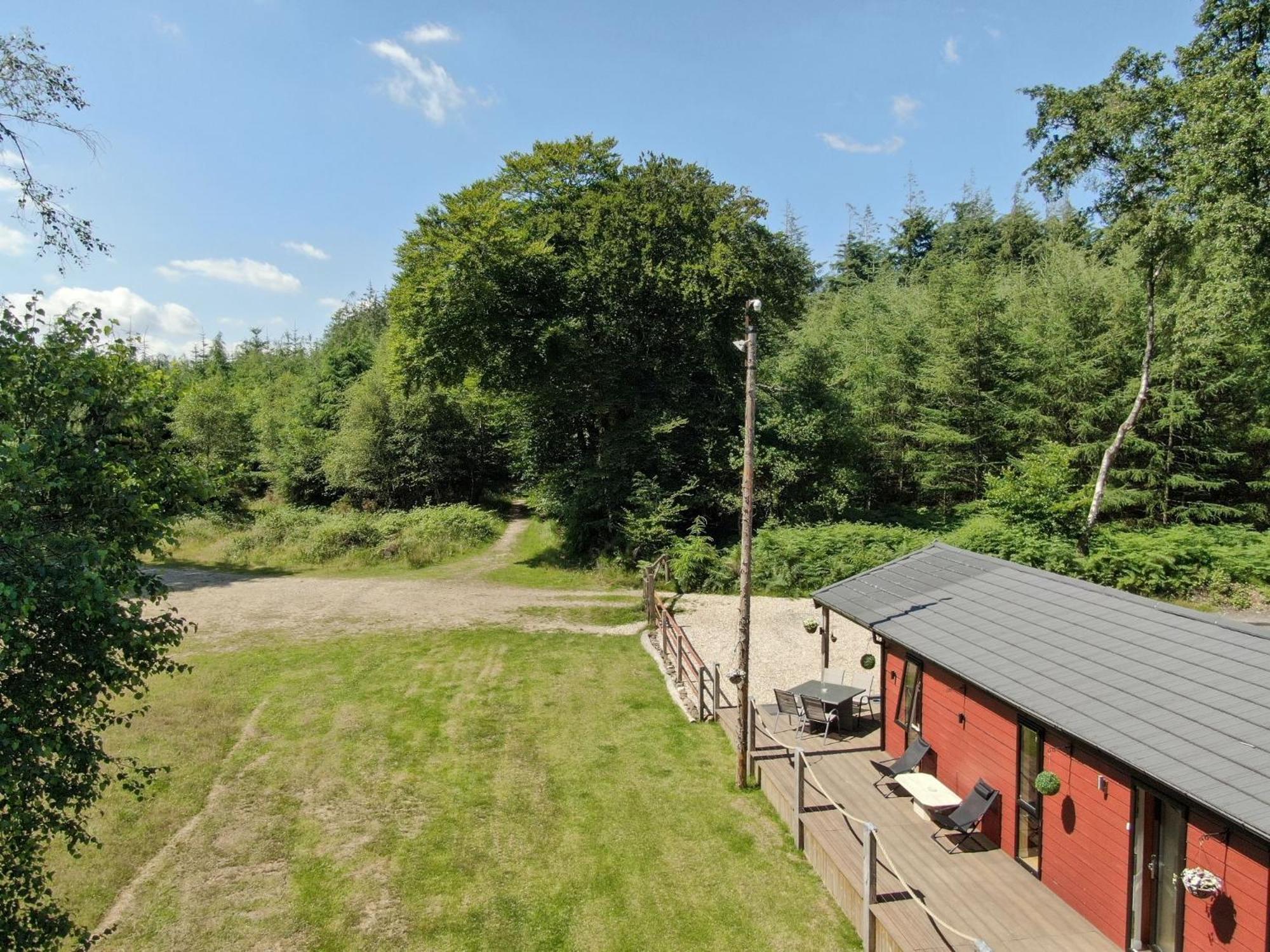 Haldon Forest Lodge, Exeter view 4