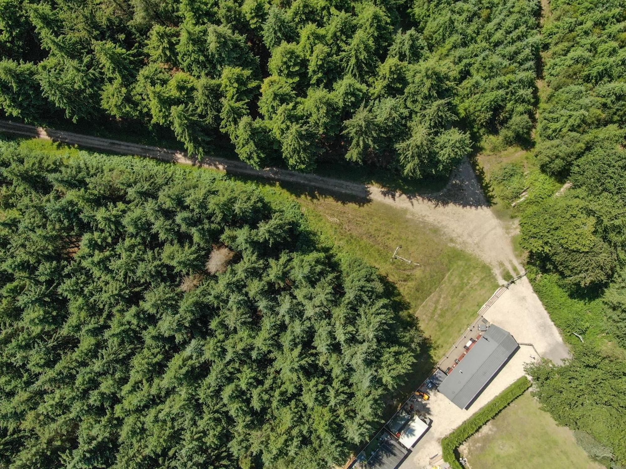 Haldon Forest Lodge, Exeter view 3