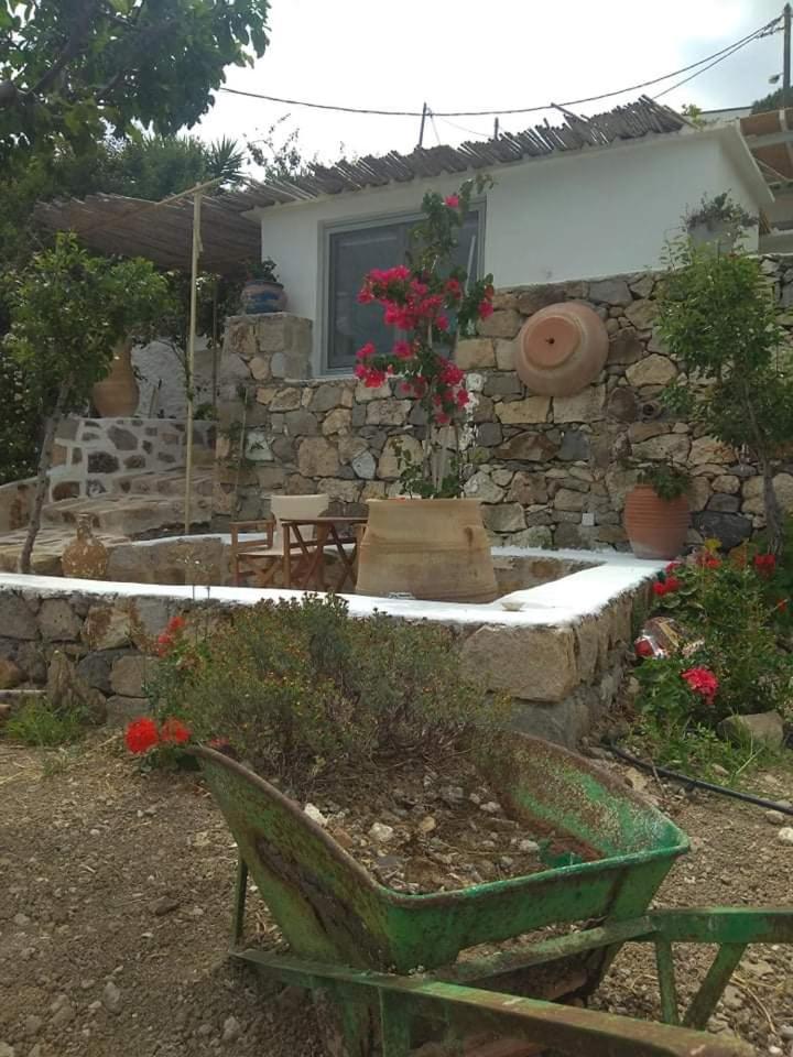 Photo 20