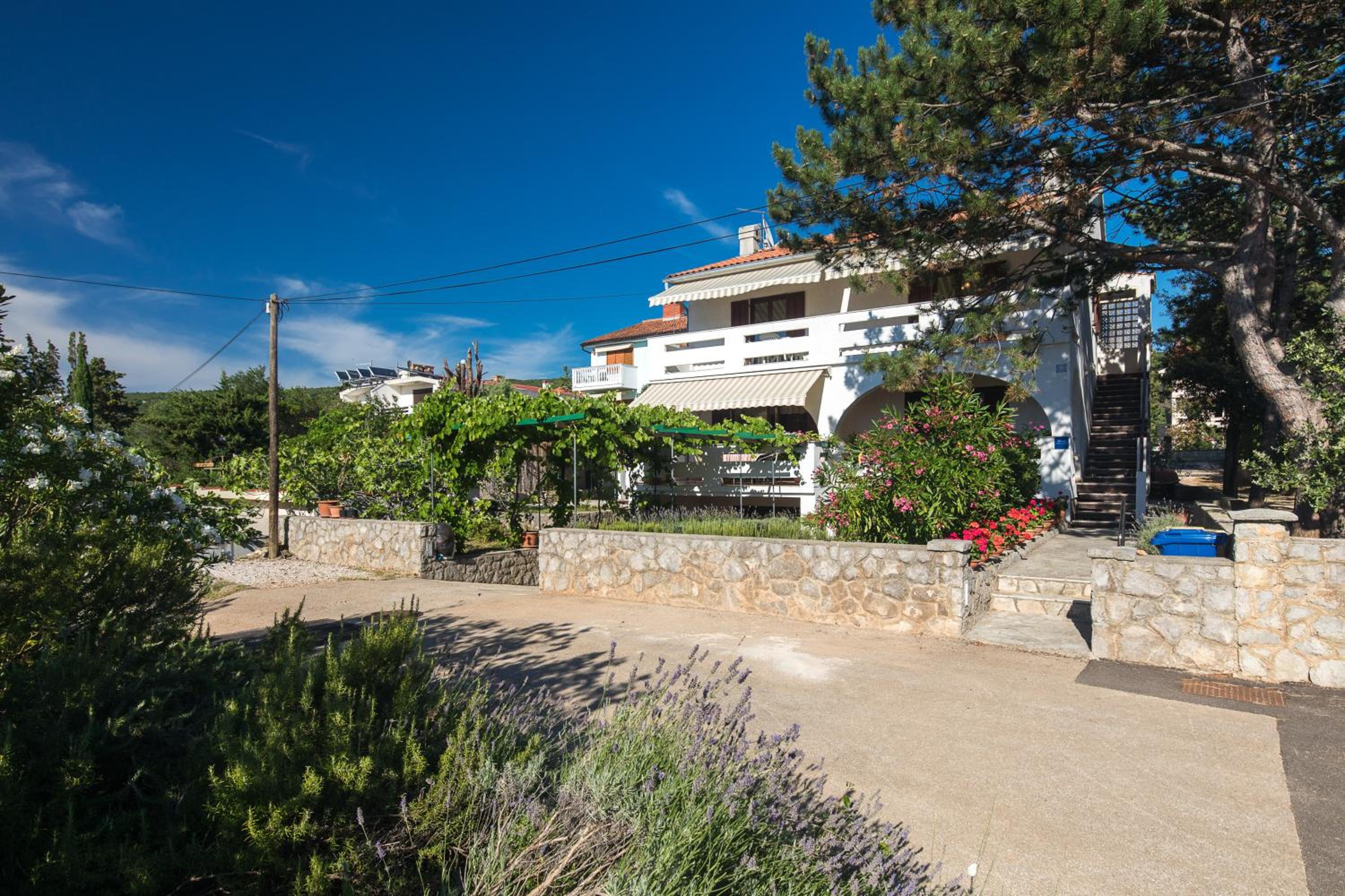 Apartmani Anita view 4