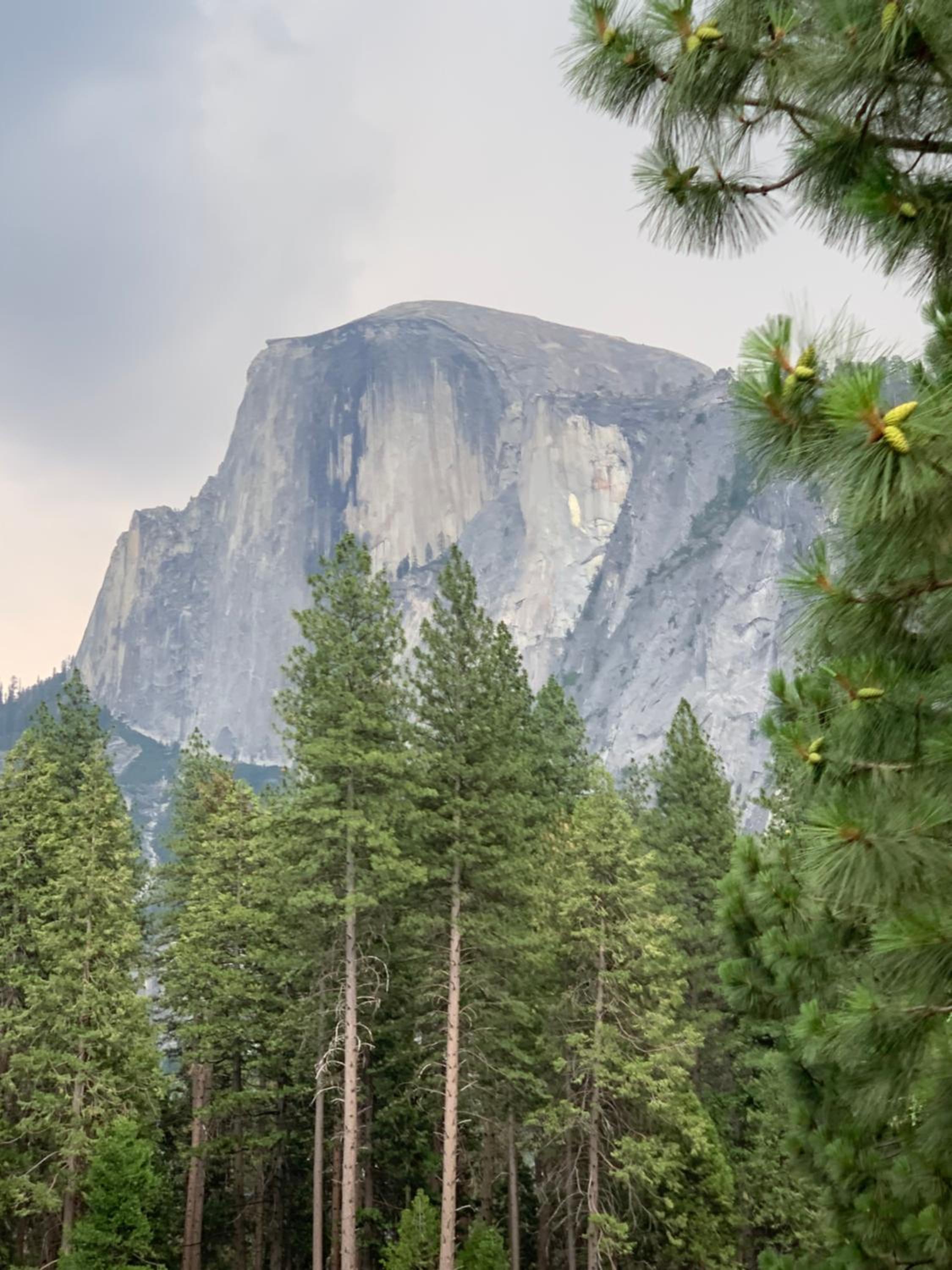 Villa Alta Vista at Yosemite- Stunning Views and Game Room view 5