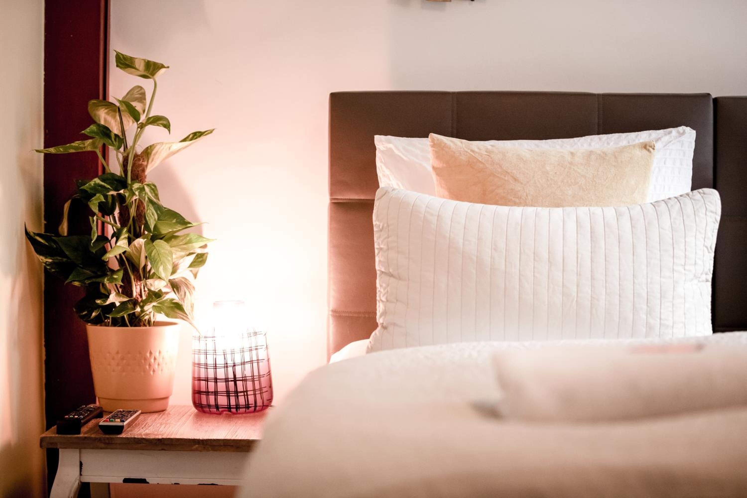 Sunflower Amsterdam - Image 2