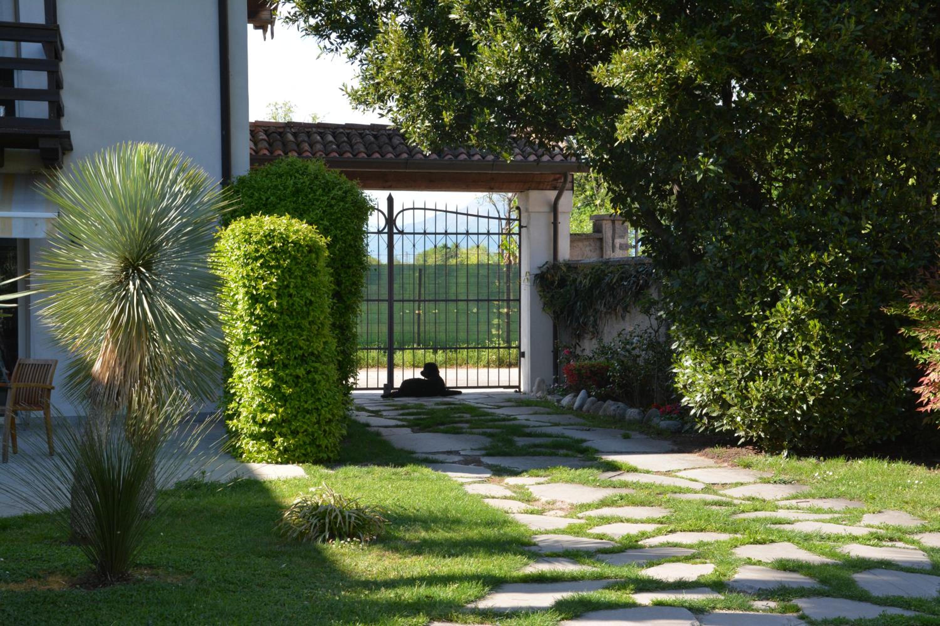 Photo 28