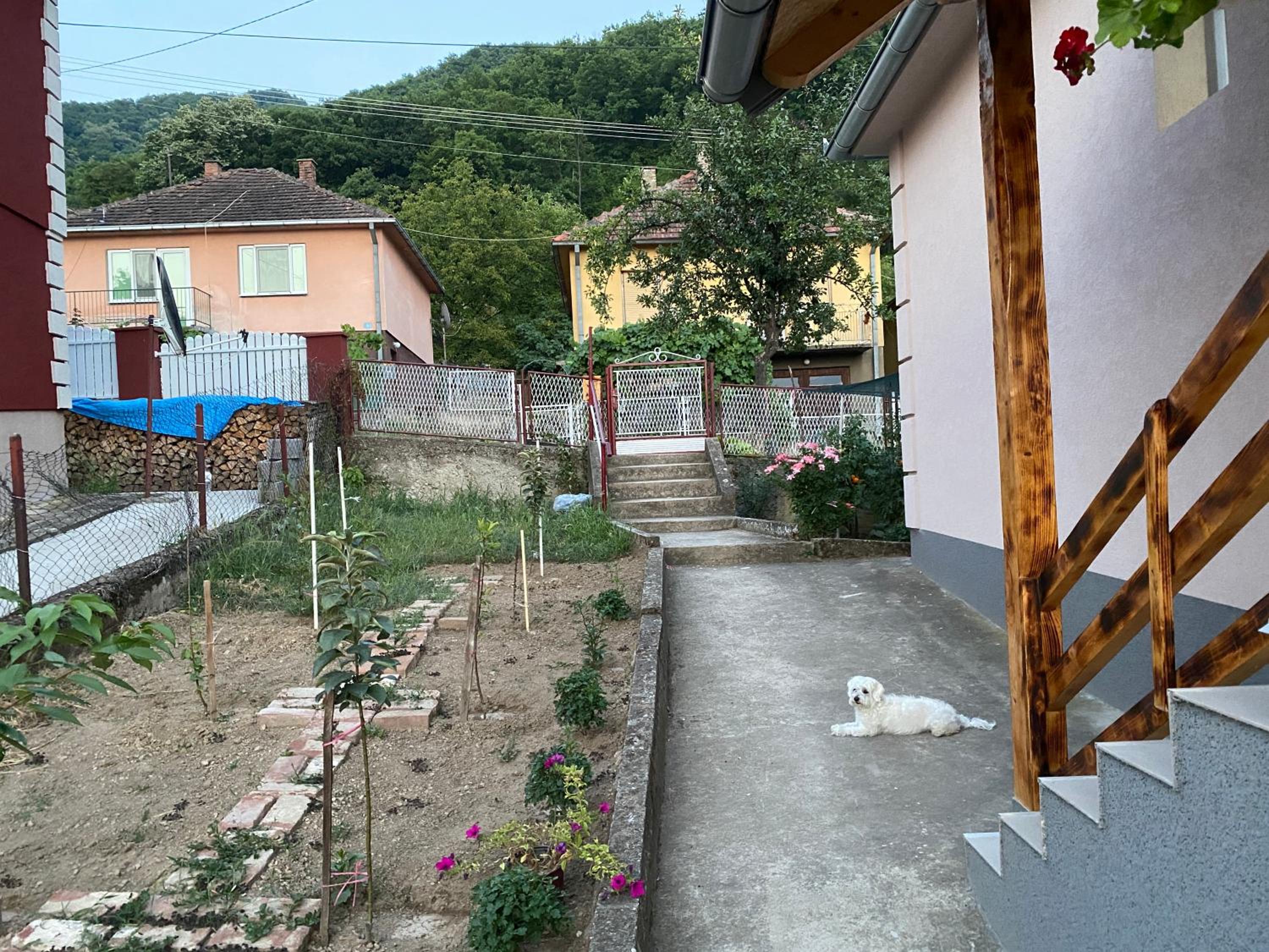 Smeštaj Zeka Tekija view 4