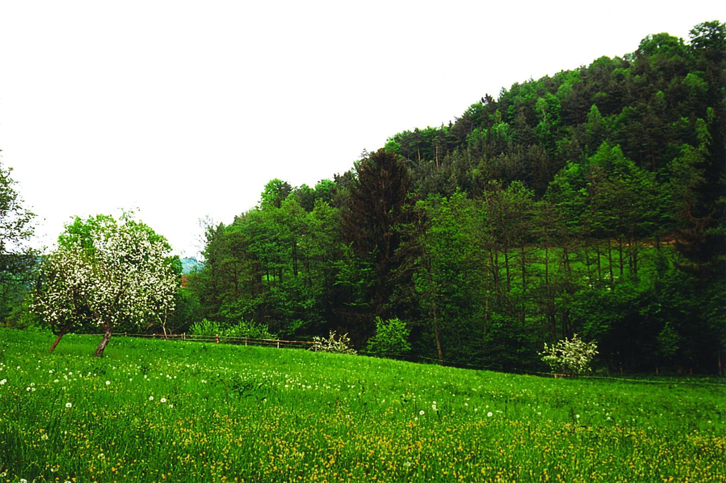 Landhaus Waldfrieden