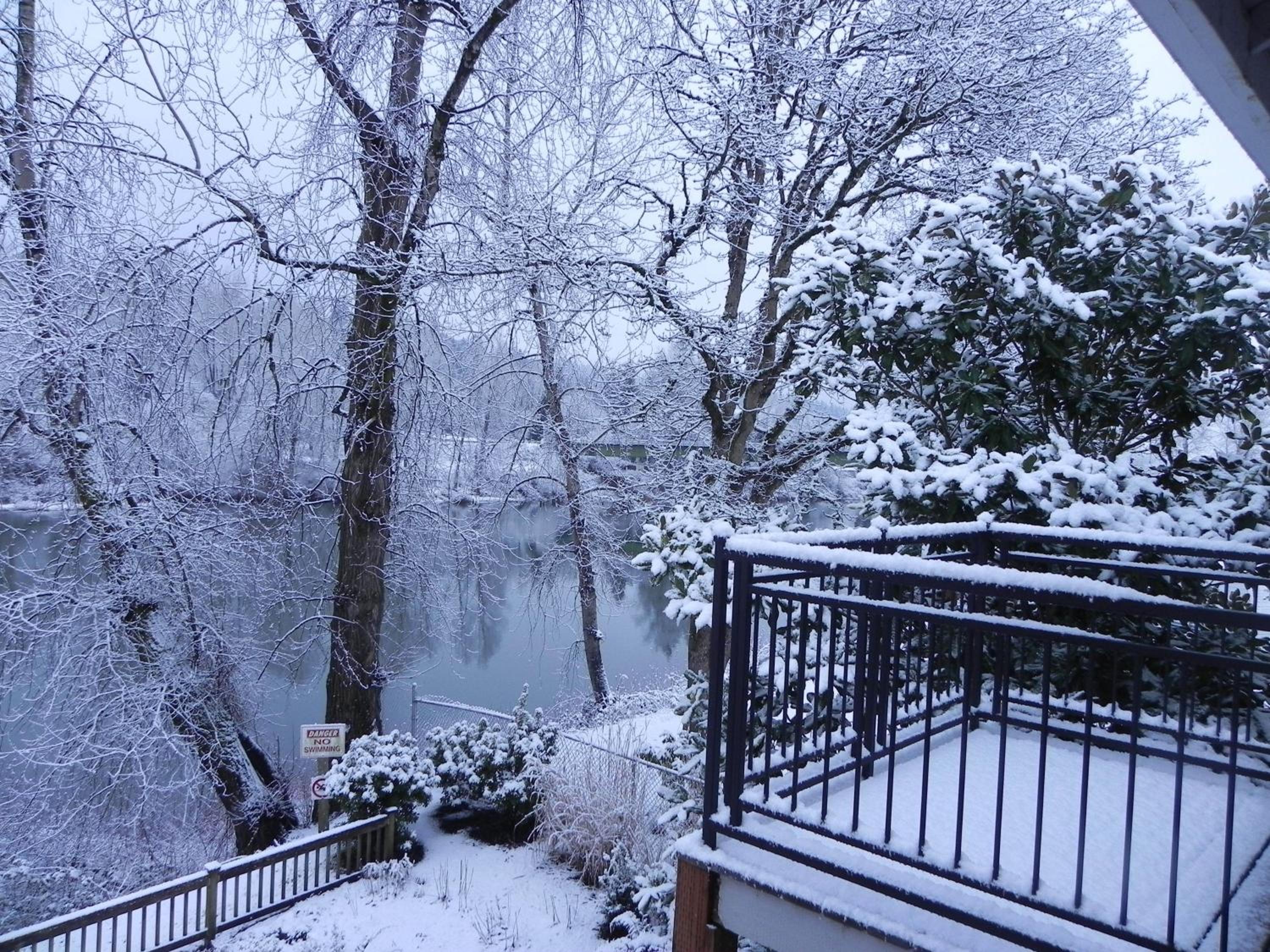 Lewis River Inn