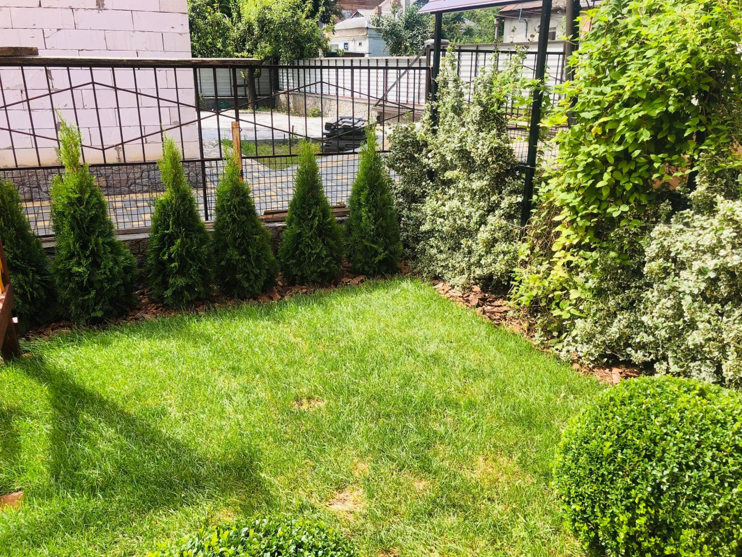 Photo 15