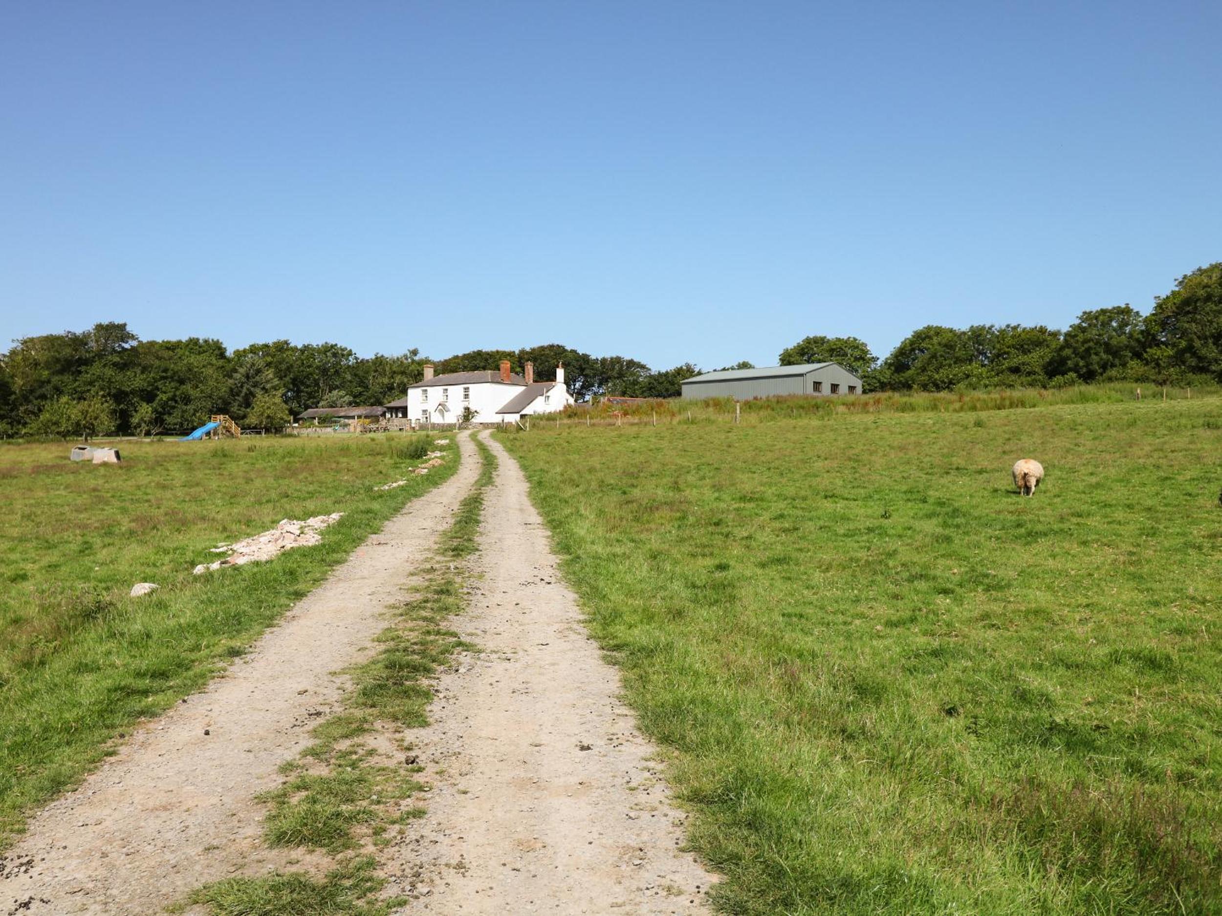 Photo 22