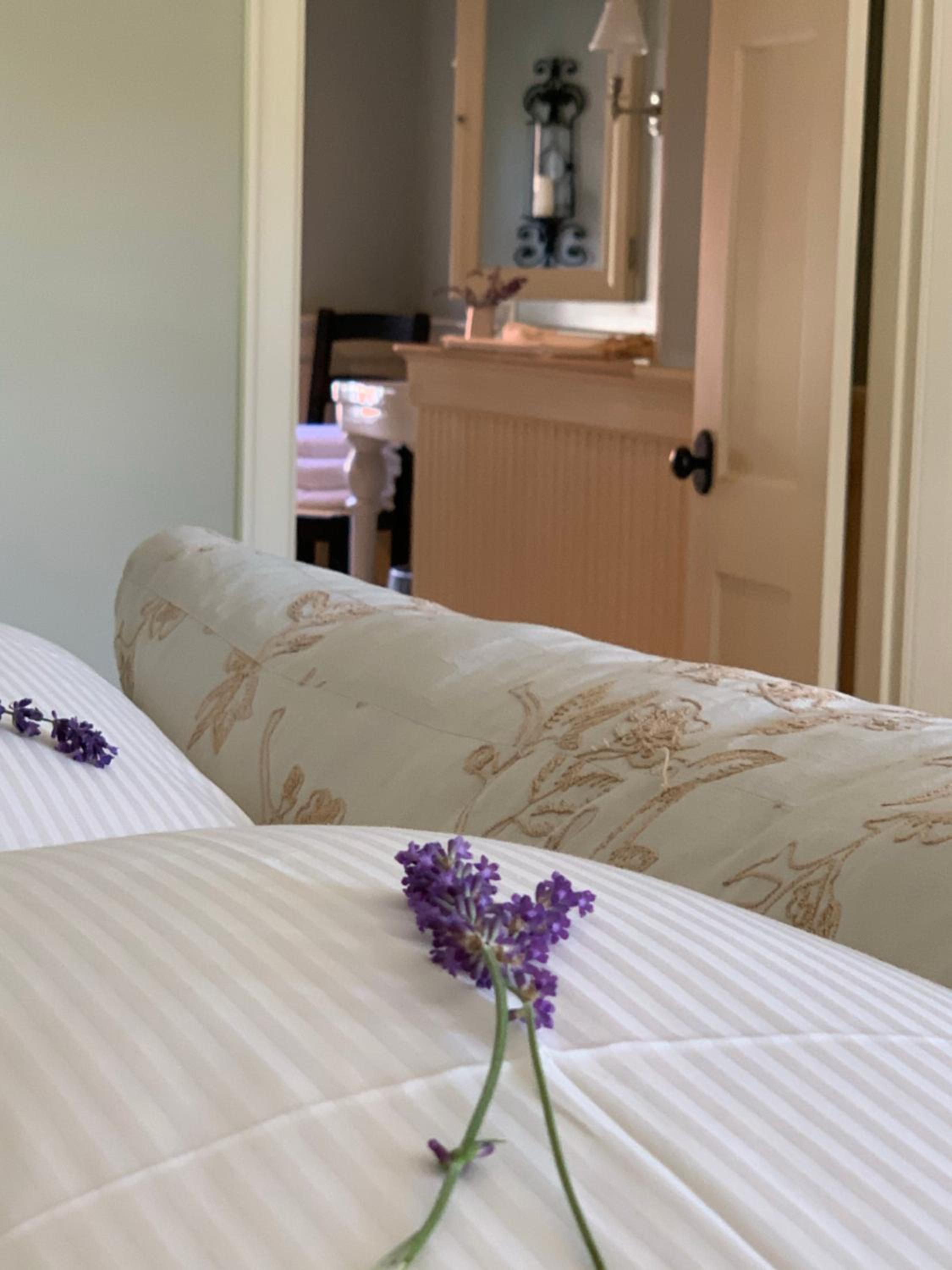 The Pebble Bed and Breakfast