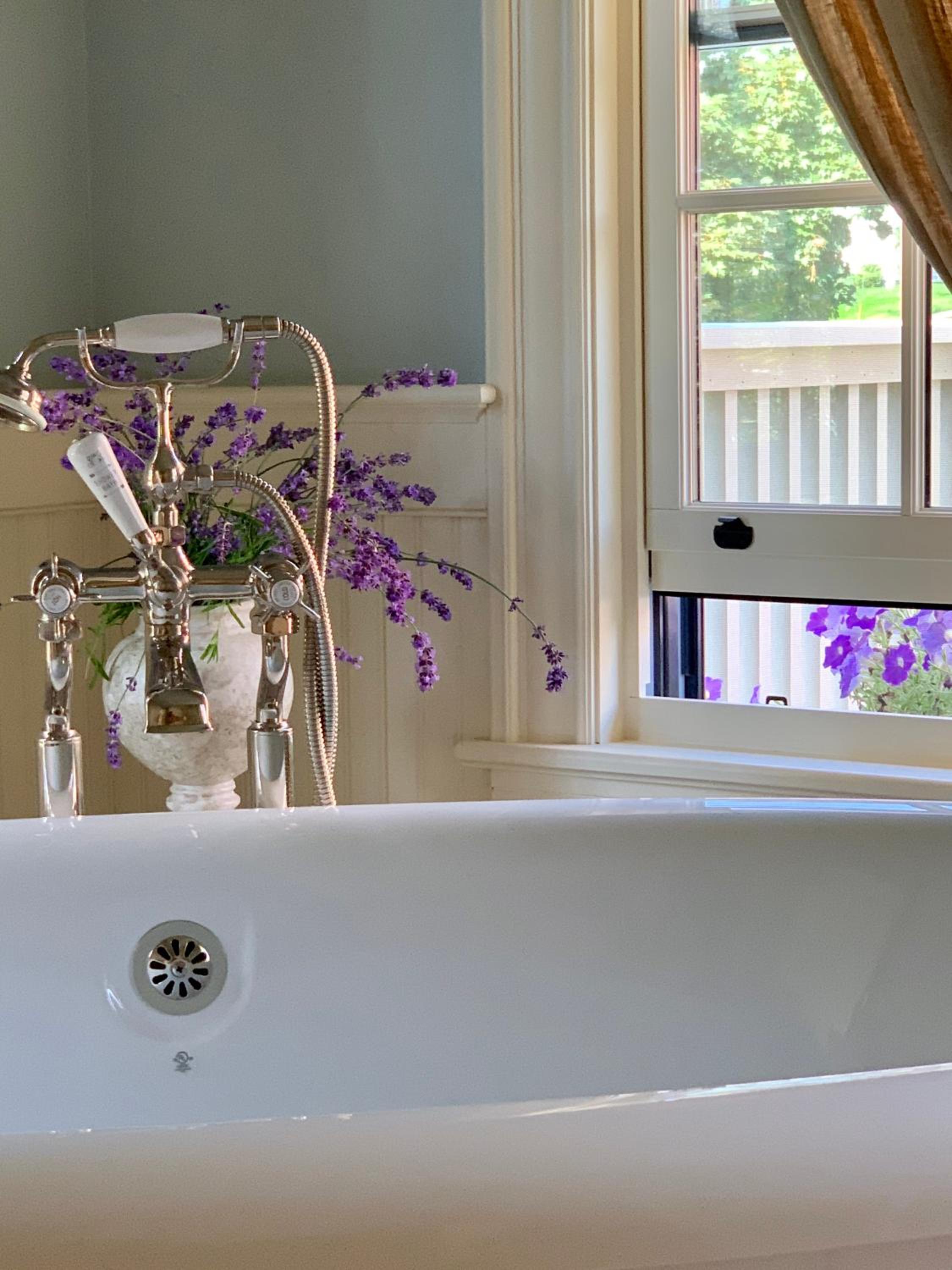 The Pebble Bed and Breakfast
