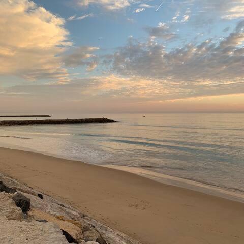 ALOJAMENTO -GUEST HOUSE - Caparica - Trafaria - Surf Sun and Lisbon Lovers view 4
