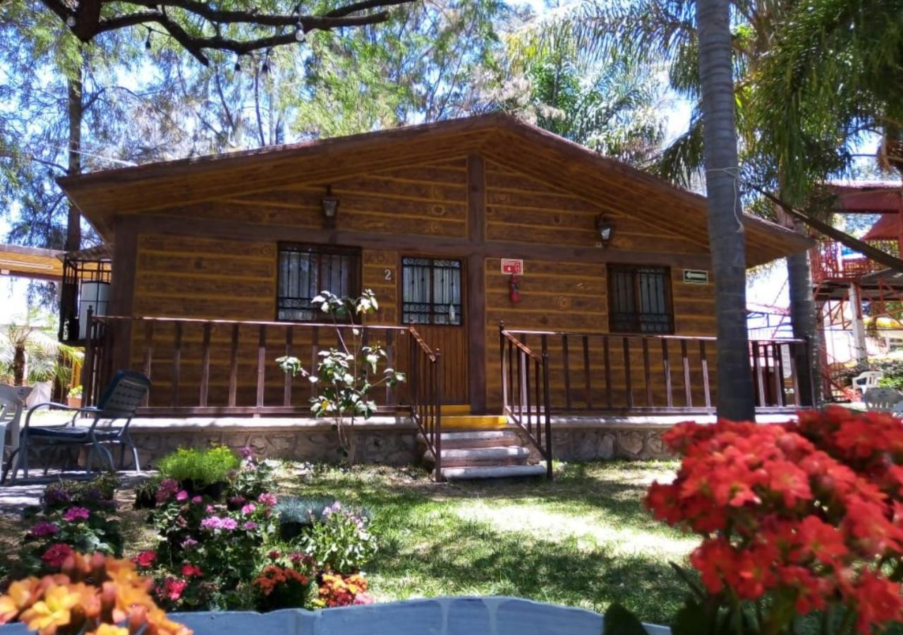 Photo 11