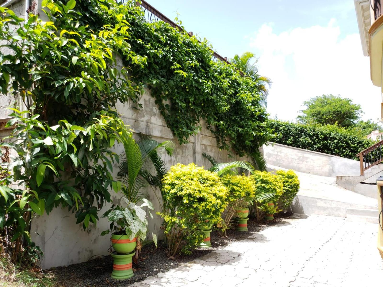 Keep Cool Guesthouse
