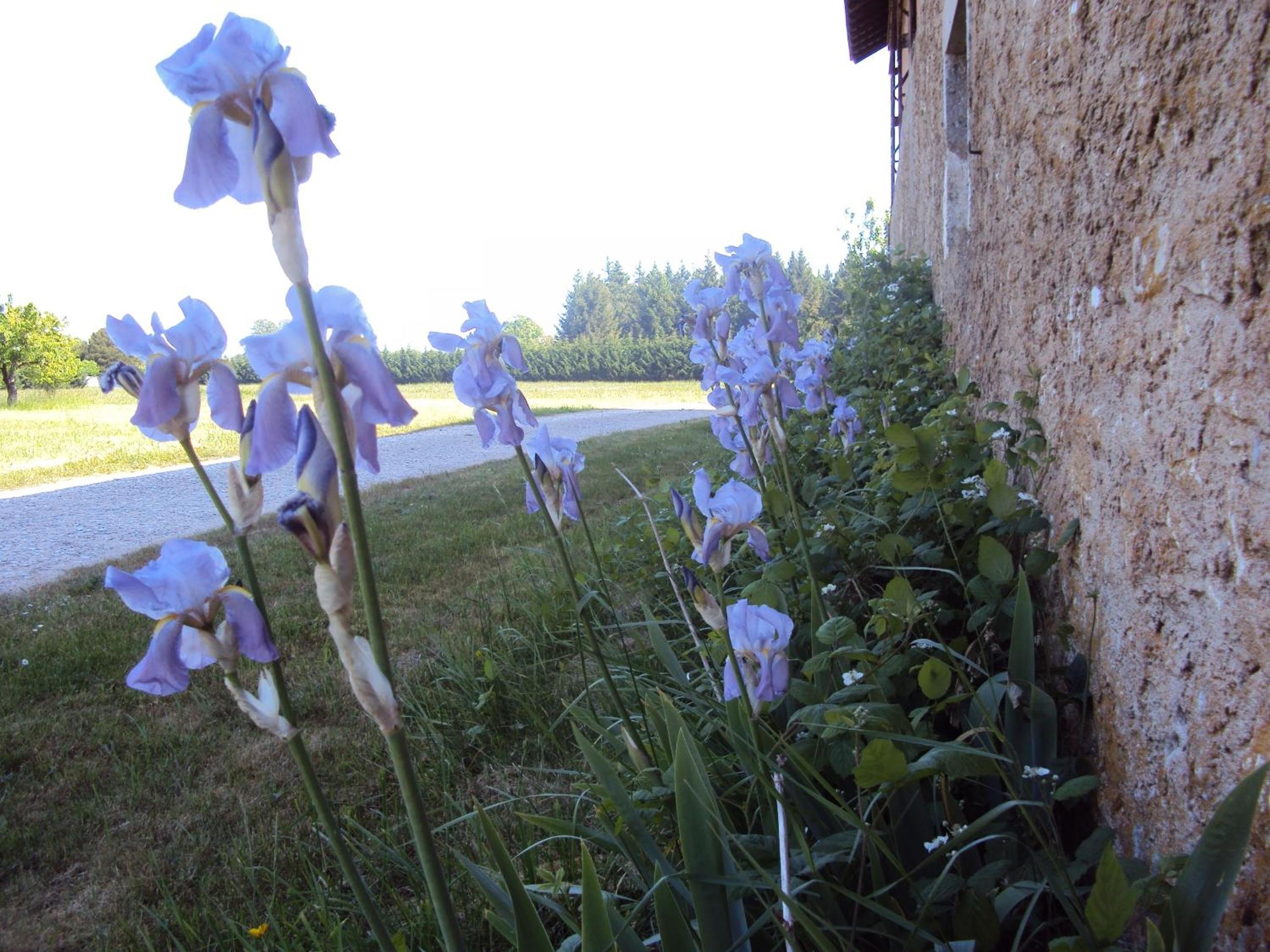 Photo 8