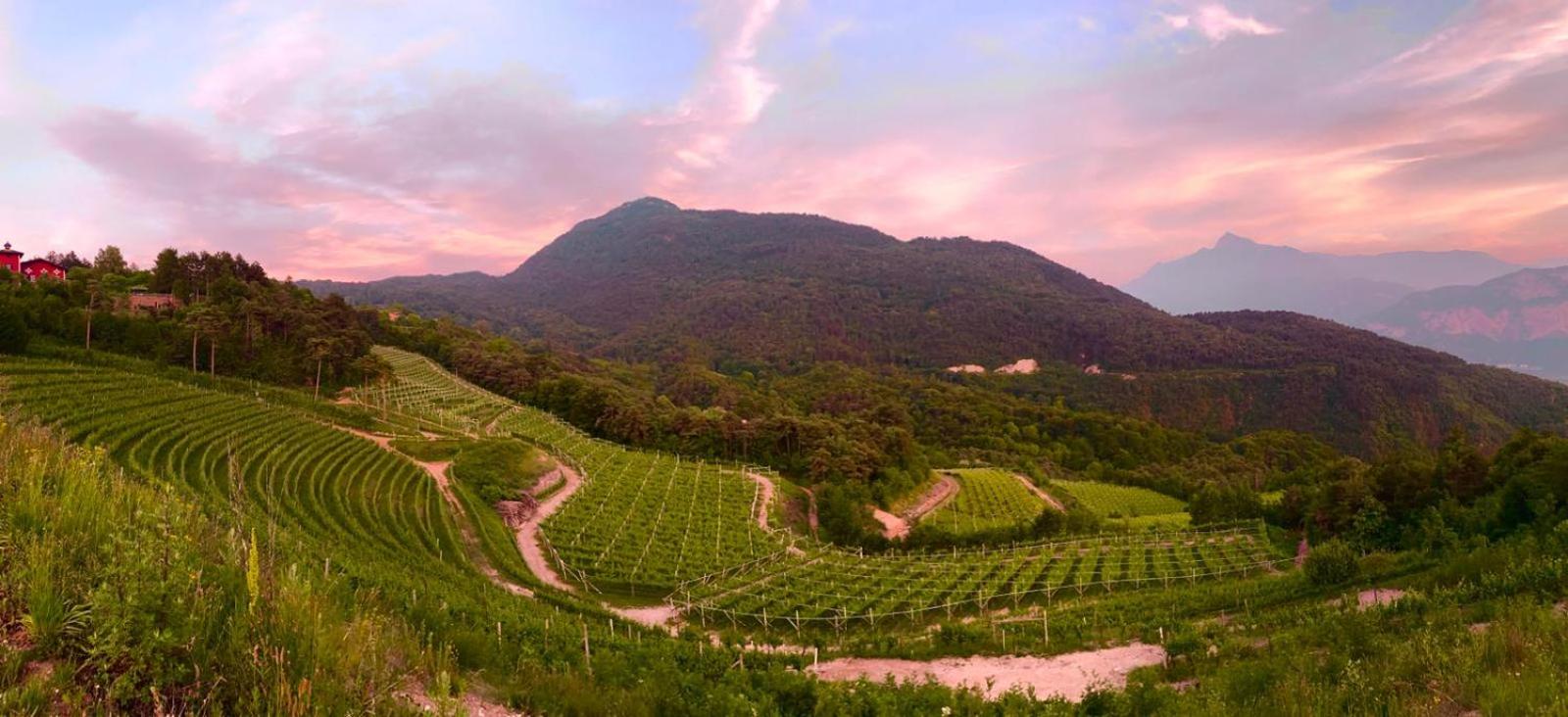 Agritur Maso Librar view 3