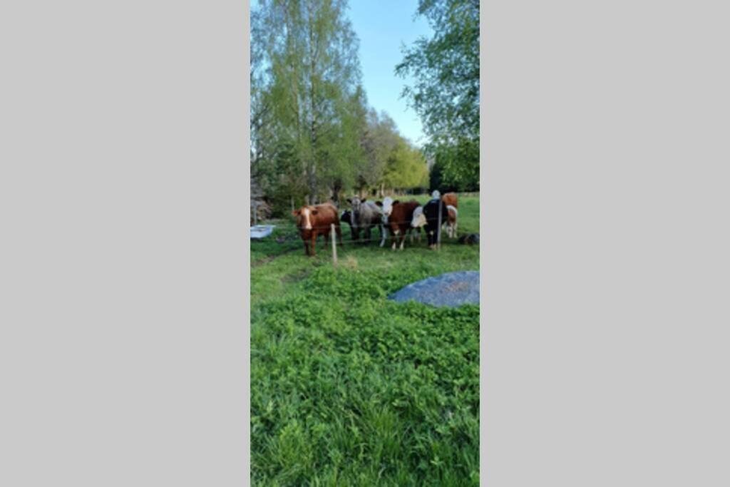 Photo 48
