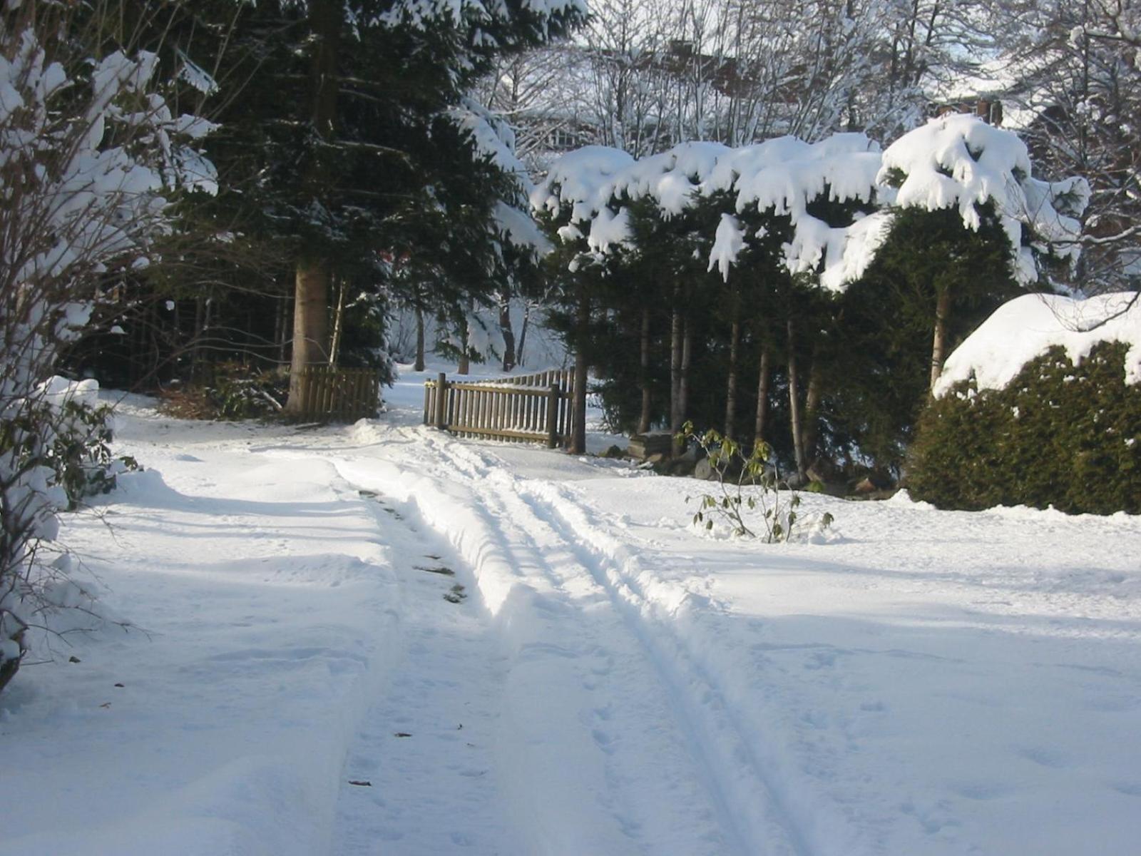 Photo 40