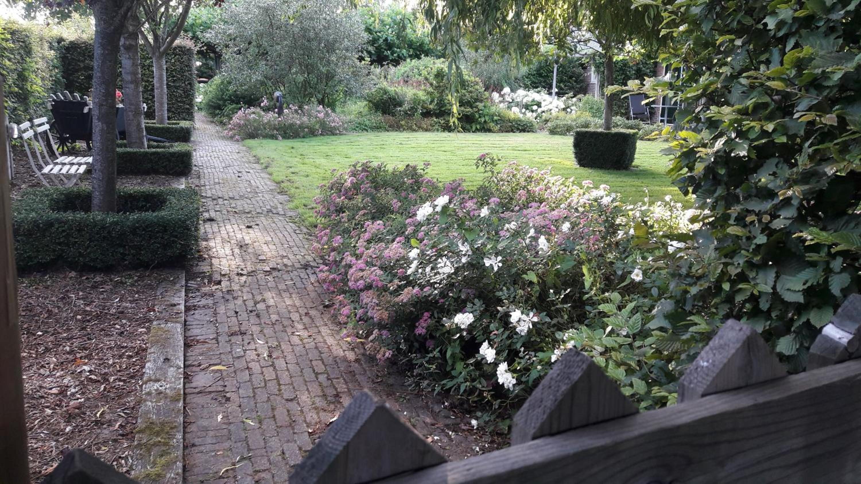 Photo 15