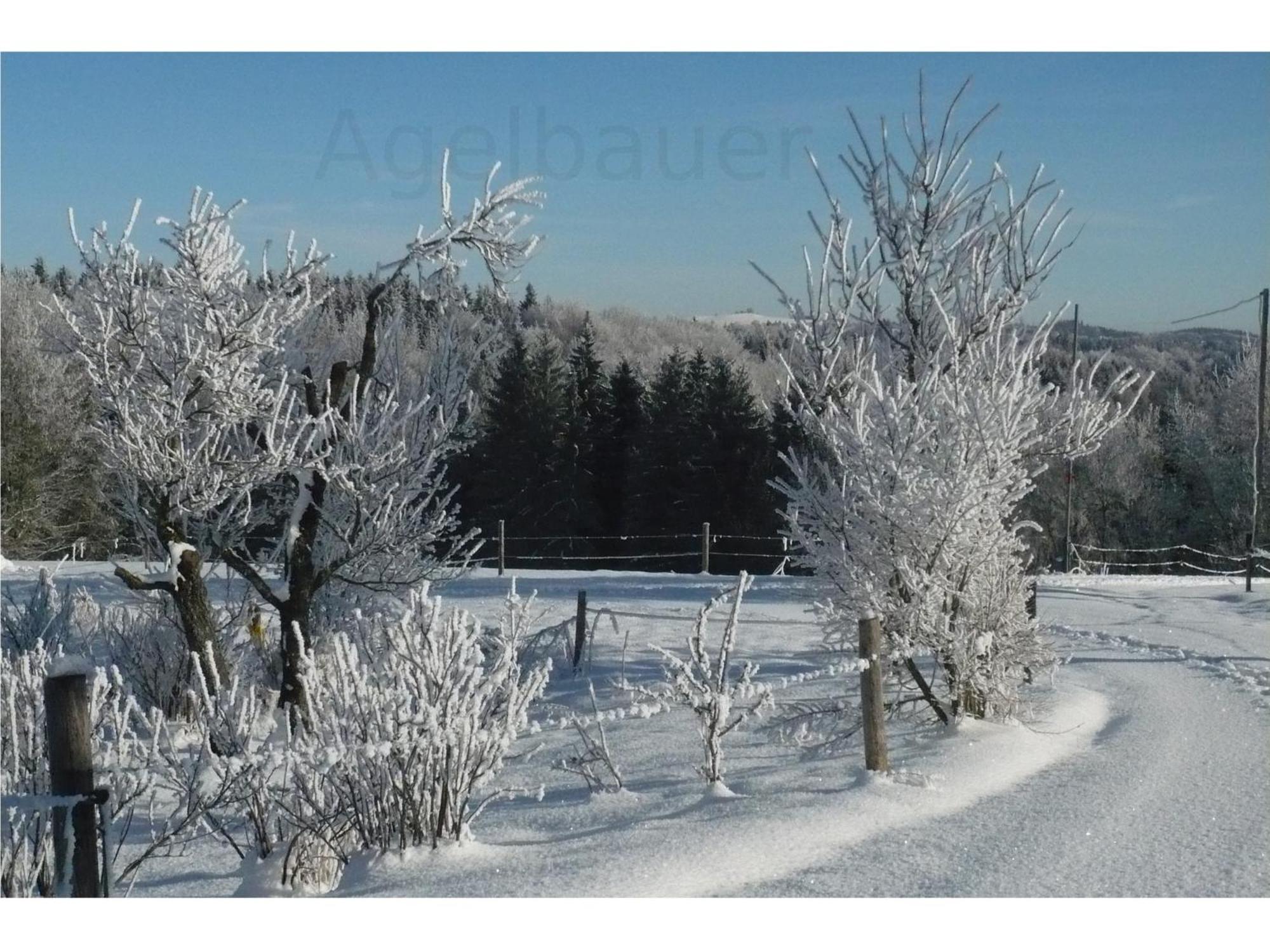 Agelbauer view 3