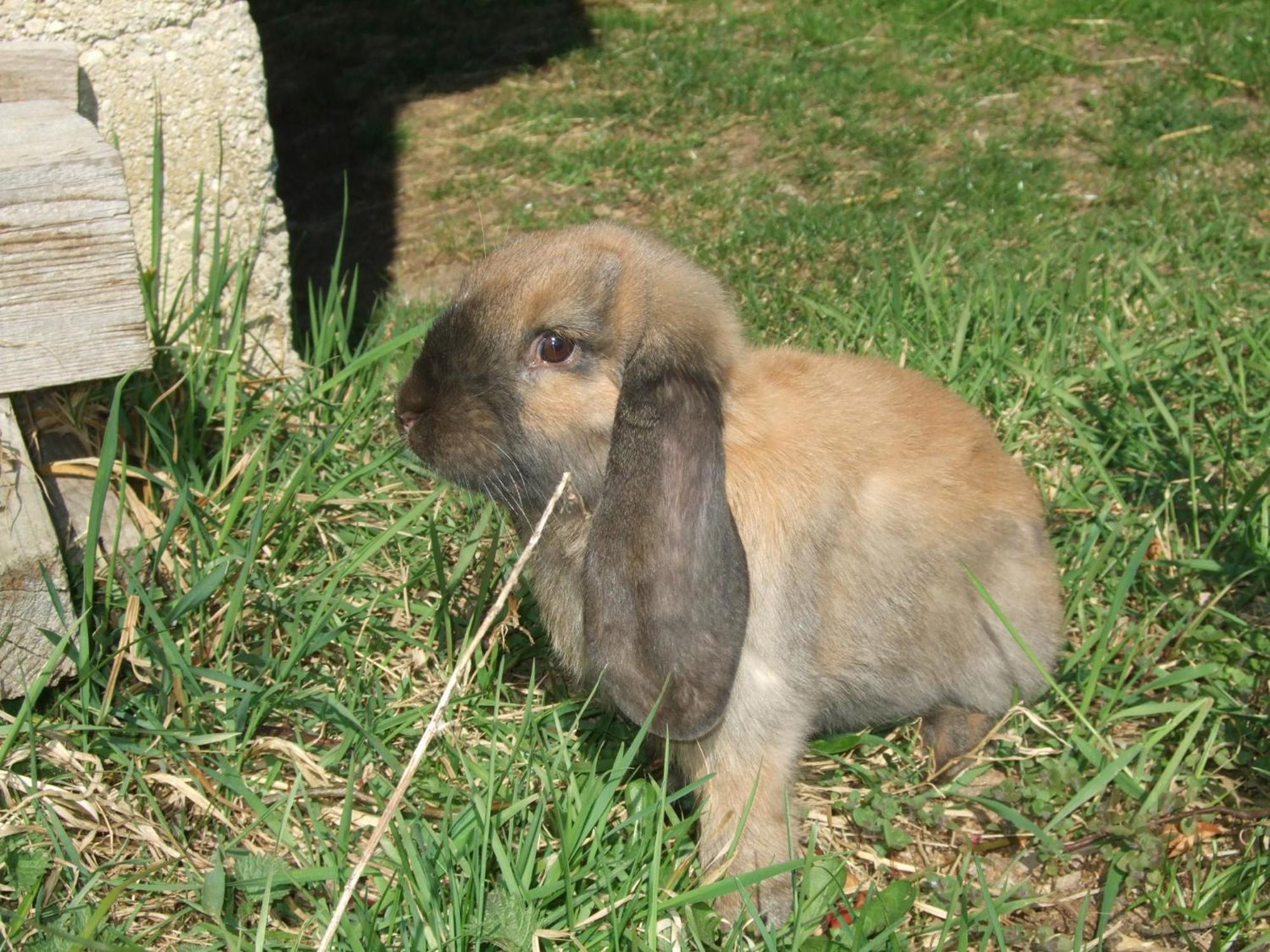Photo 15