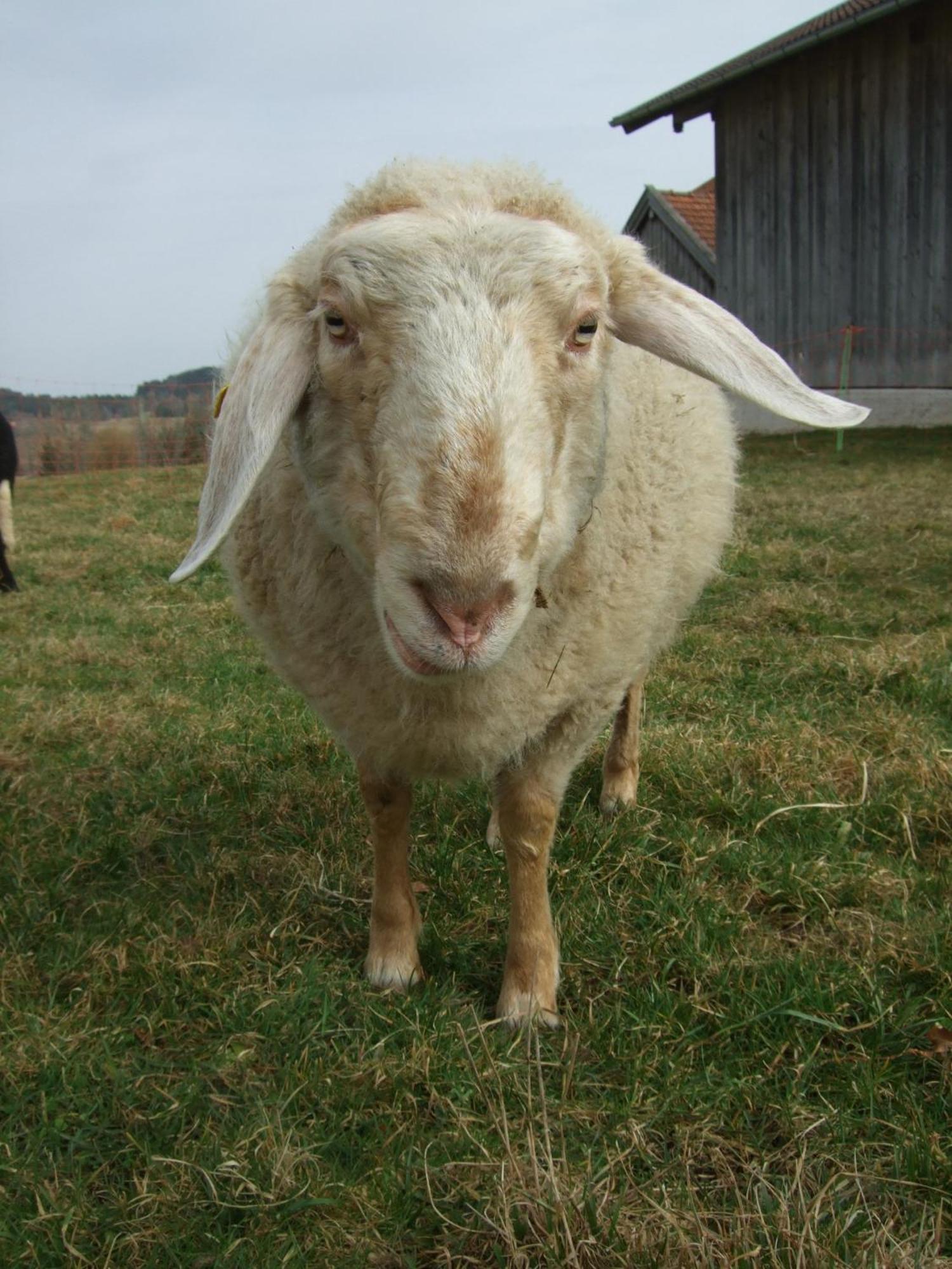 Photo 25