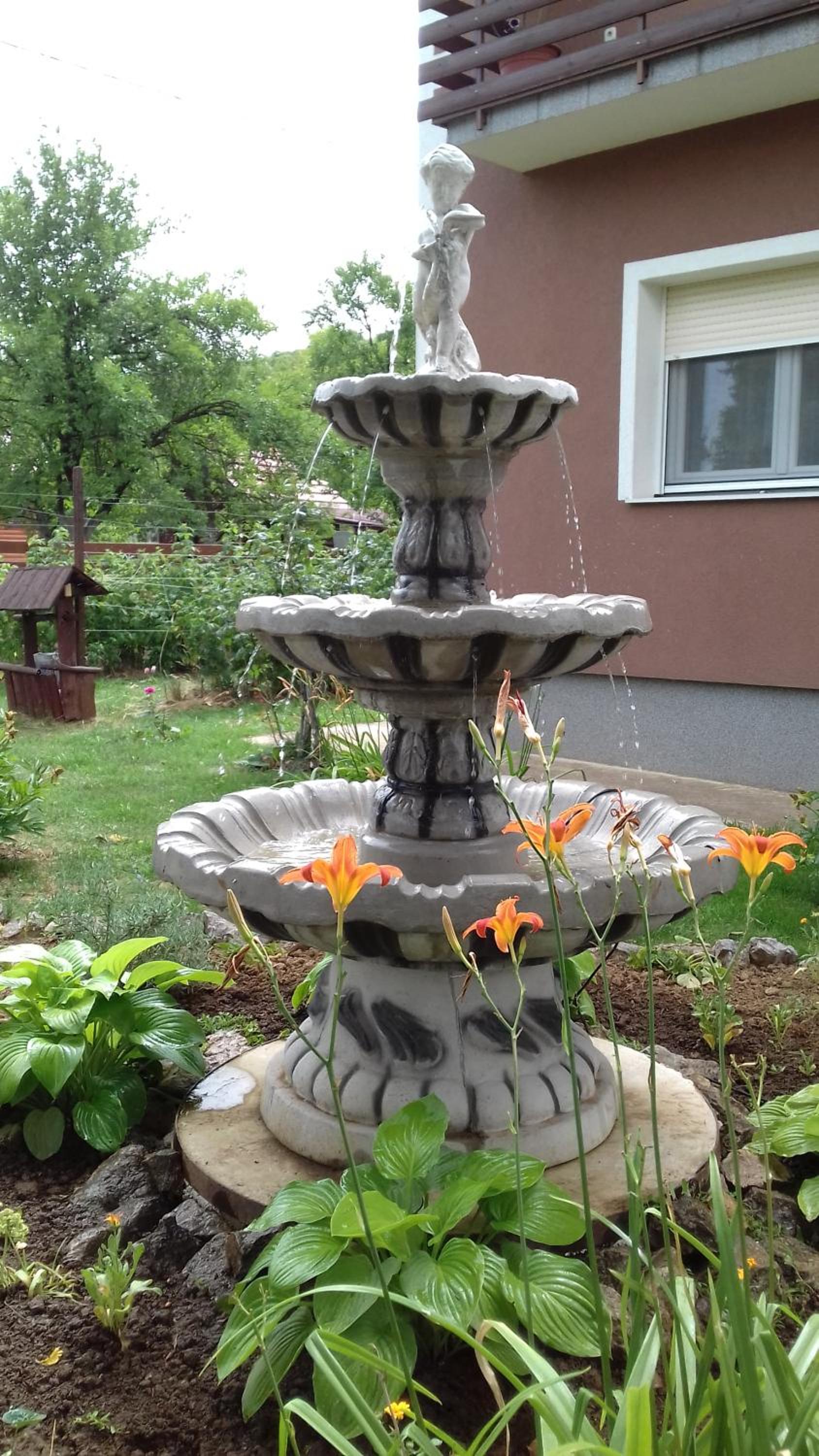 Photo 64