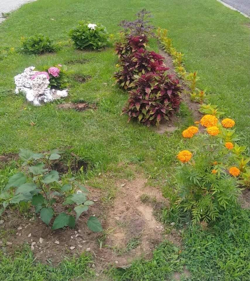 Photo 14