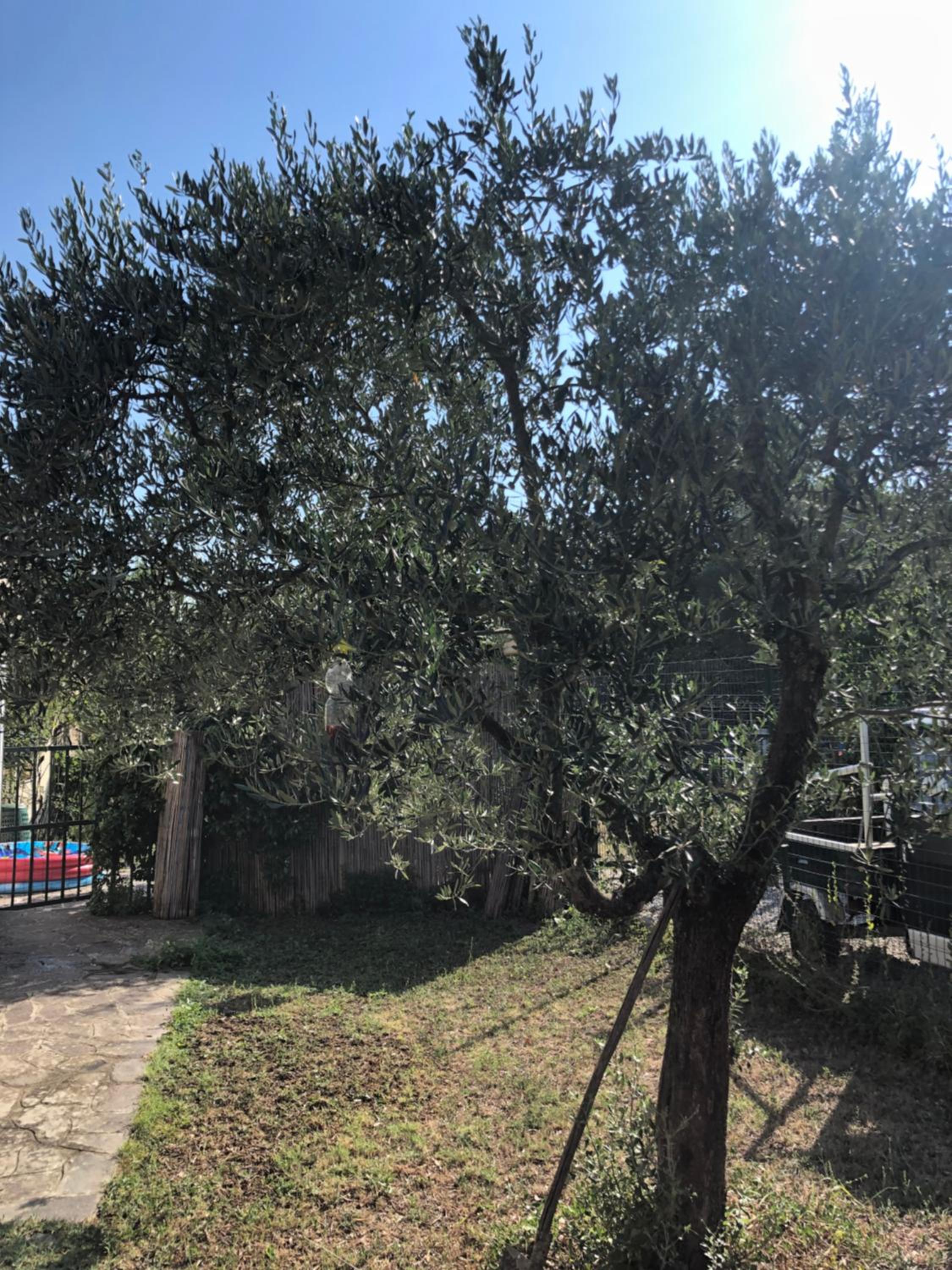 Casale Giocondo
