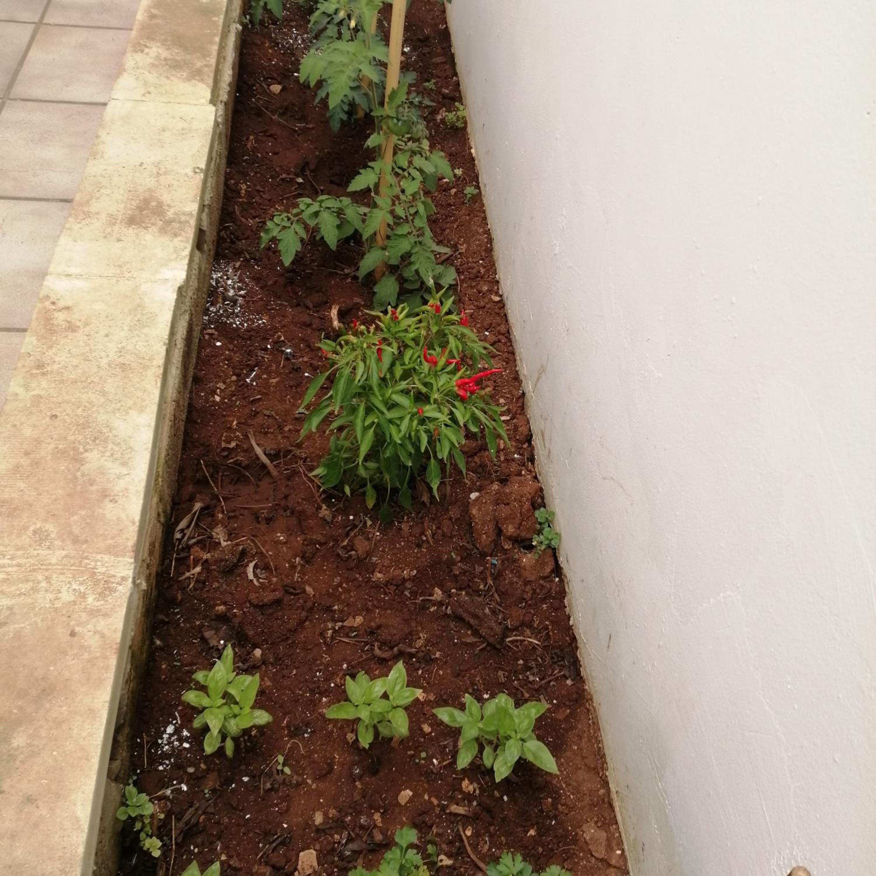 Photo 28