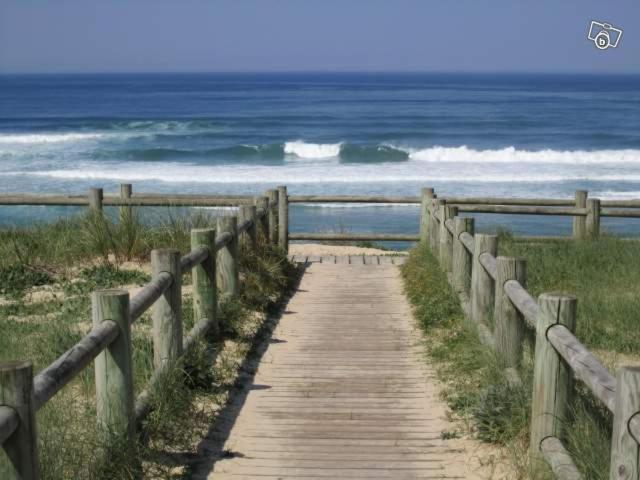 Entre Mer et Pins