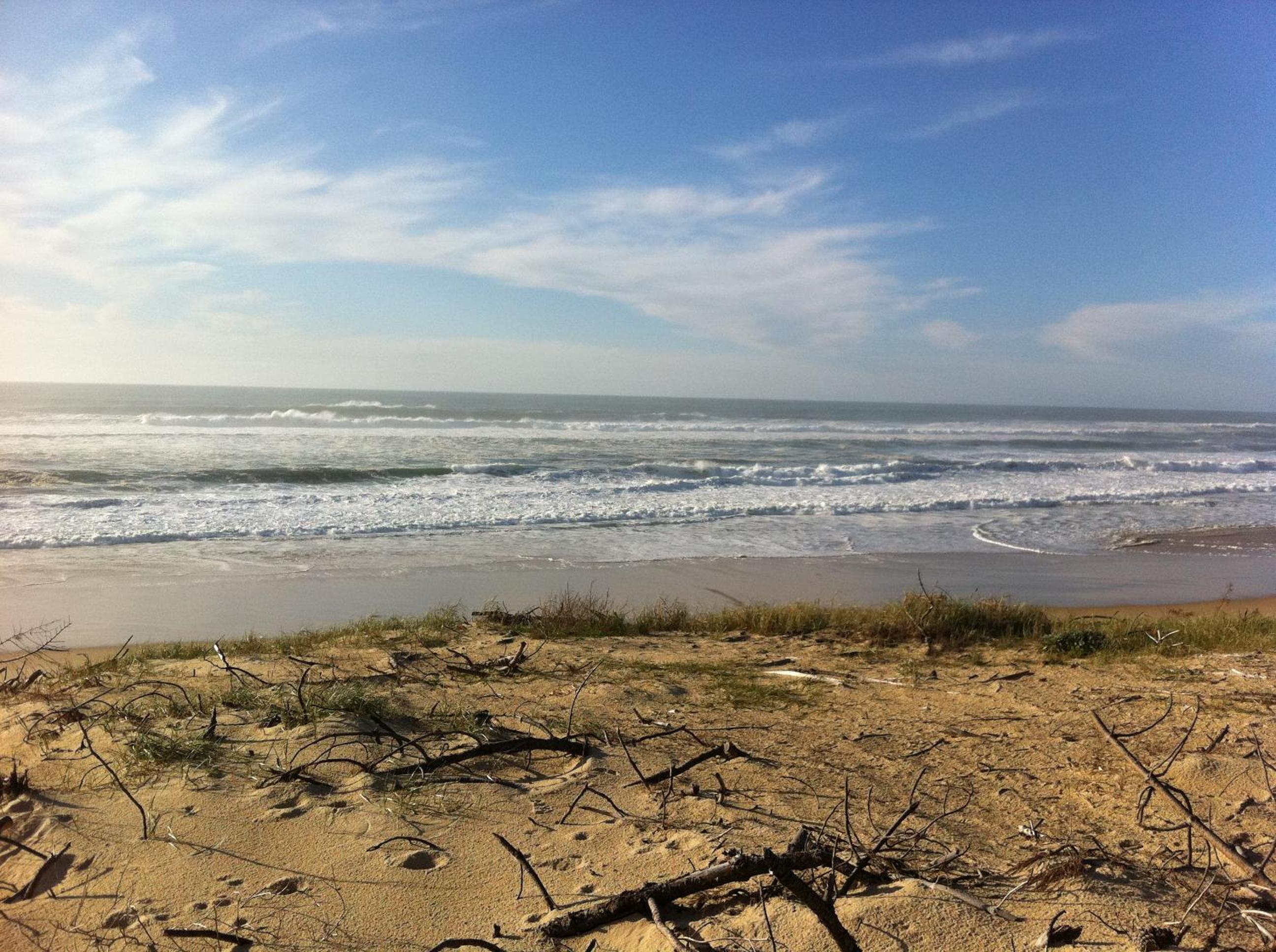 Entre Mer et Pins
