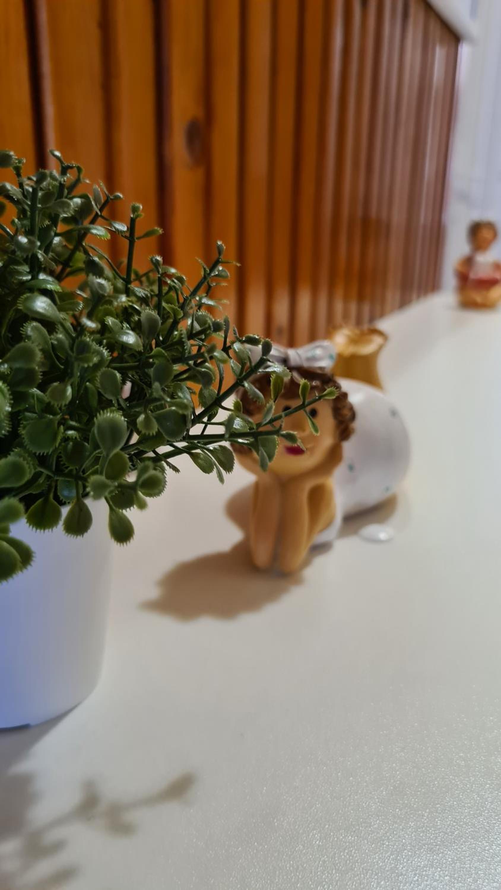 Photo 31
