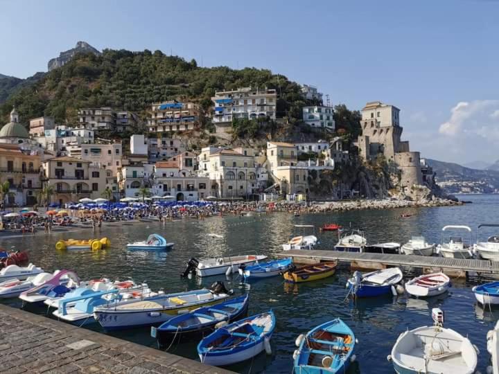 NEL BLU view 5