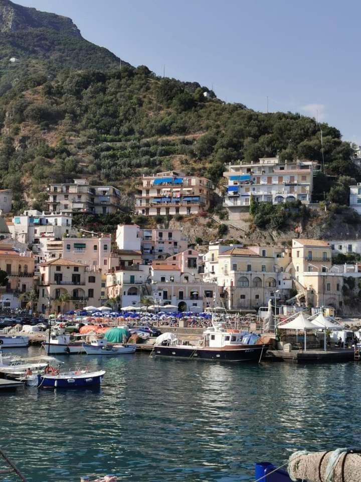 NEL BLU view 3