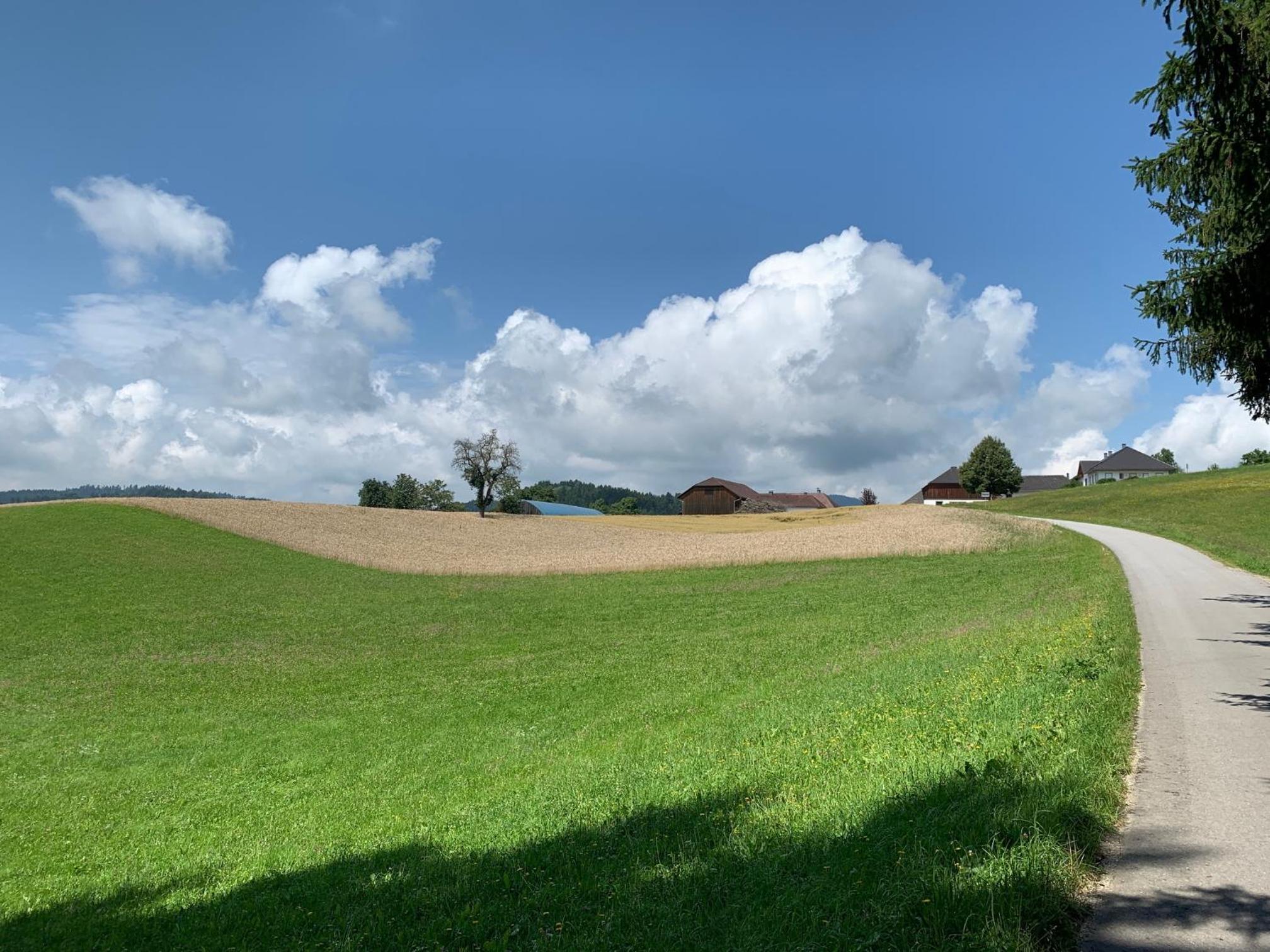 Ferienwohnung-Mühlviertel