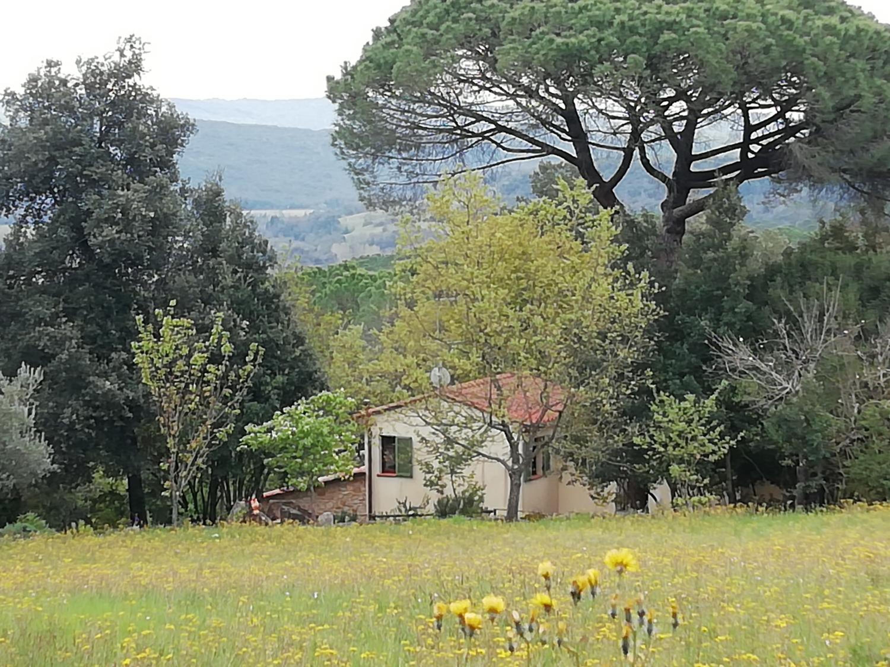 Casa Jacaranda view 2