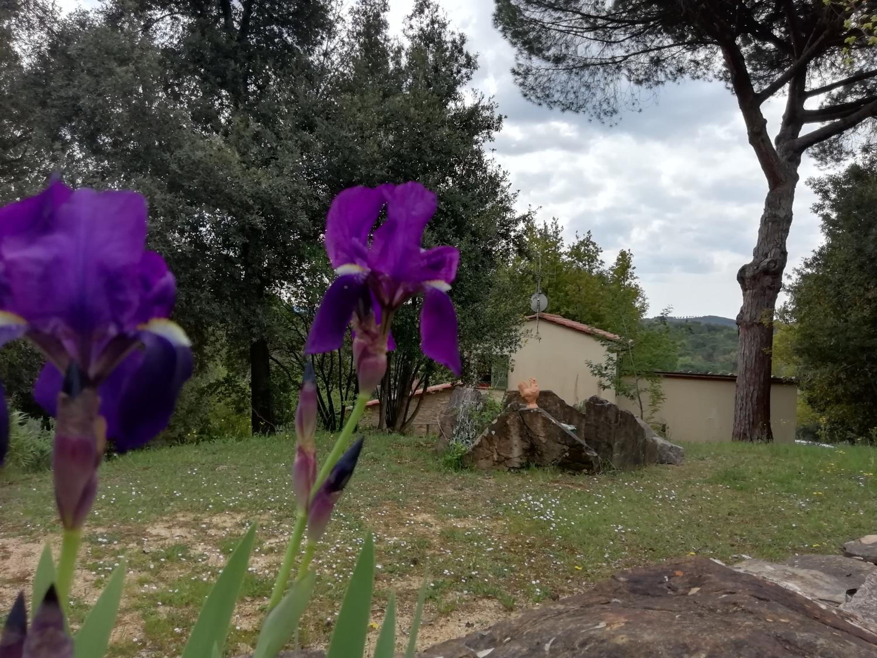 Photo 31