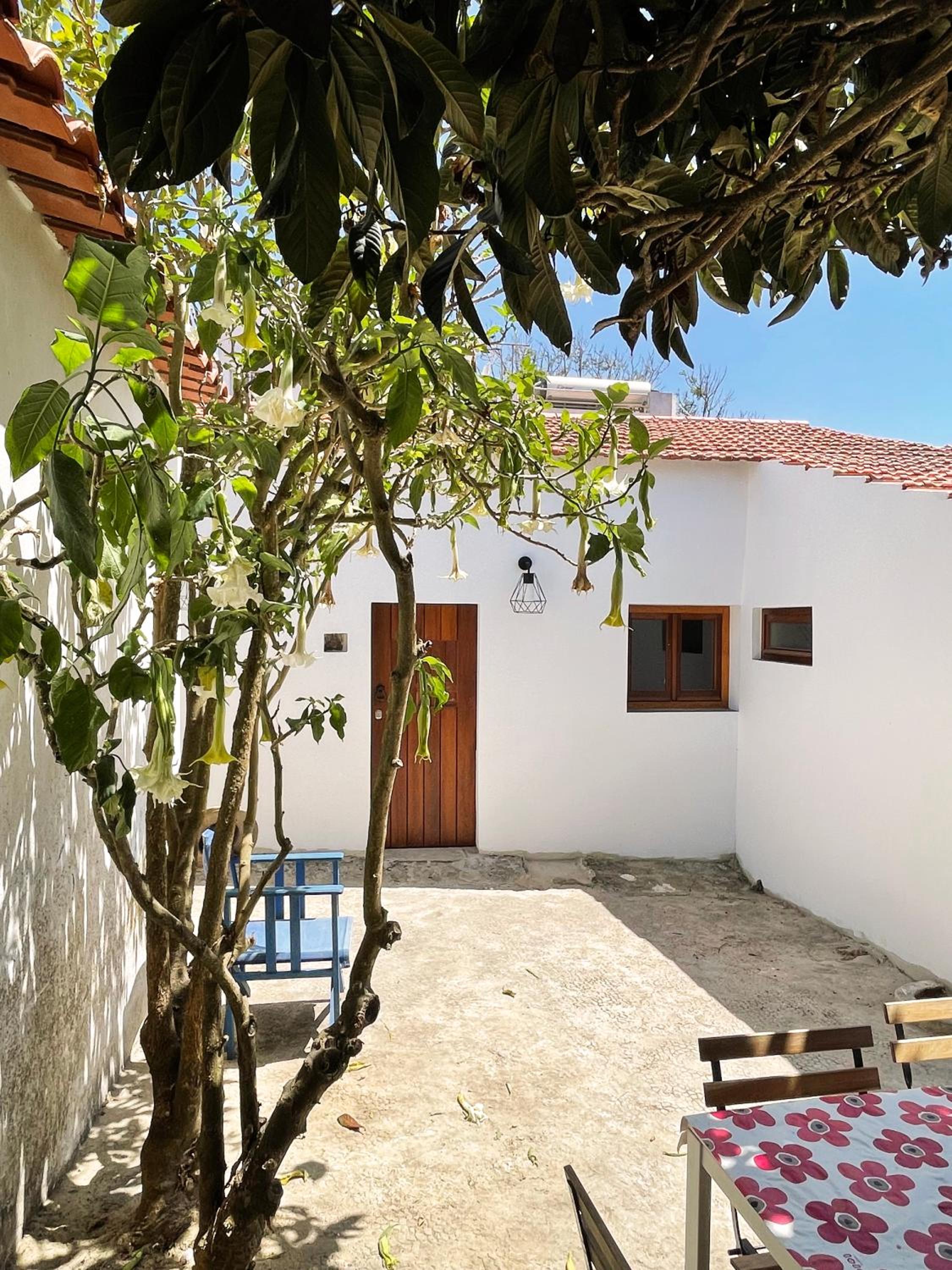 São Vicente